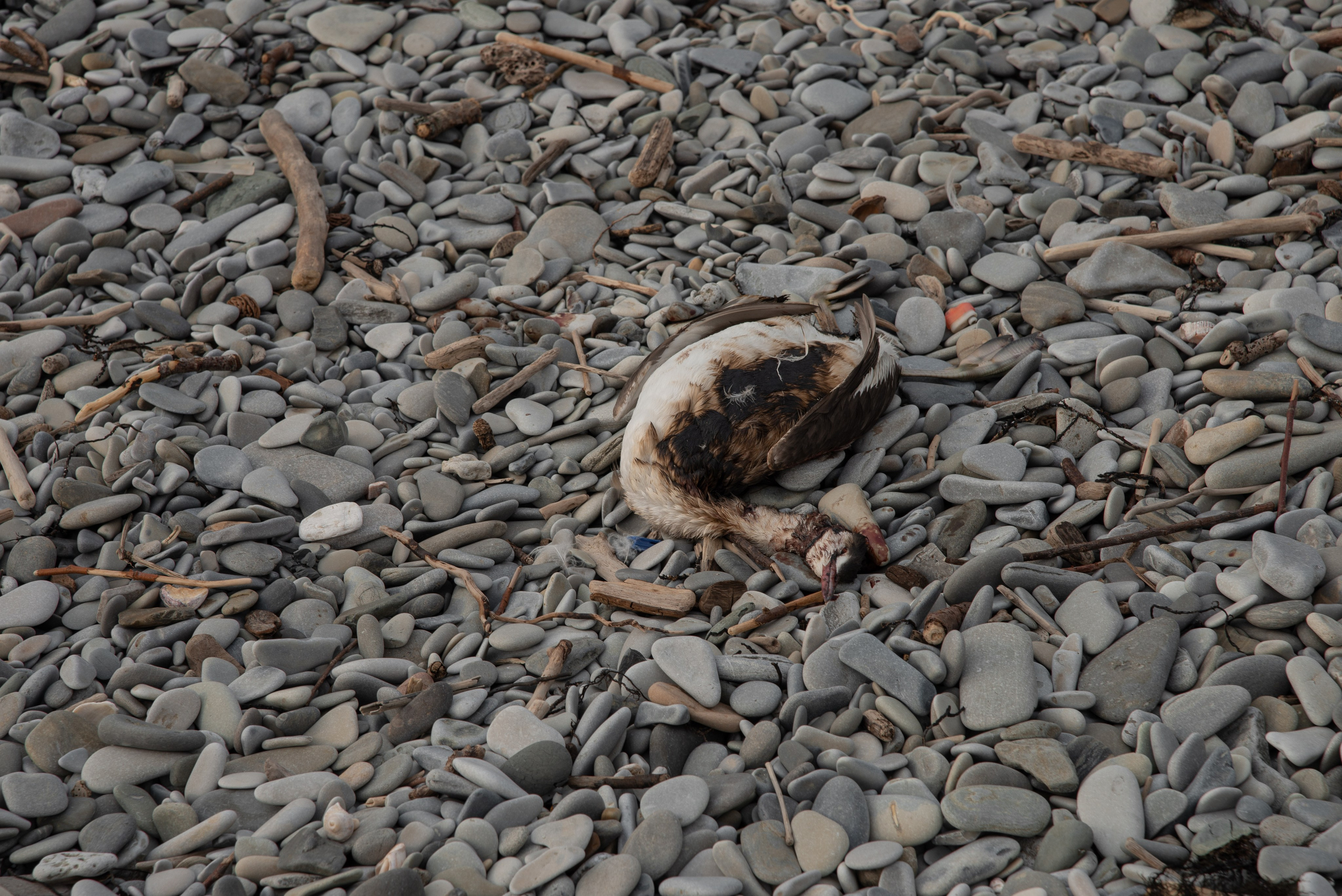 Бухта Инал. Портретный и семейный фотограф в Геленджике Таня Ходова