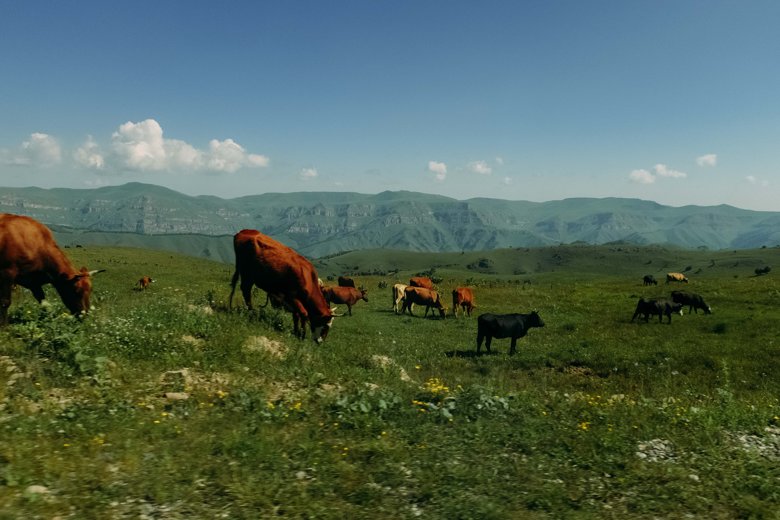 Крым-Кавказ 2022. Фотограф Светлана Голицына