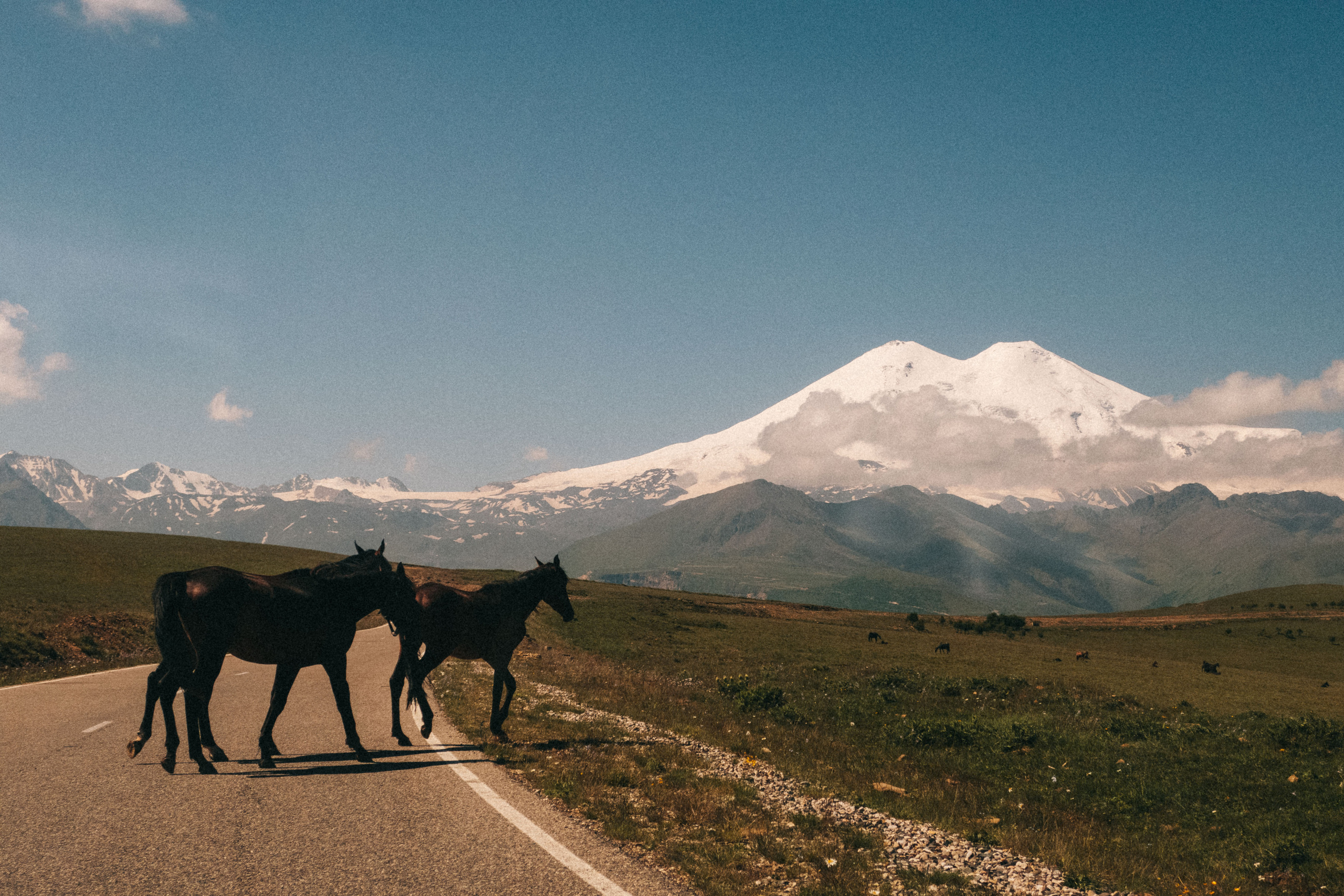 Крым-Кавказ 2022. Фотограф Светлана Голицына