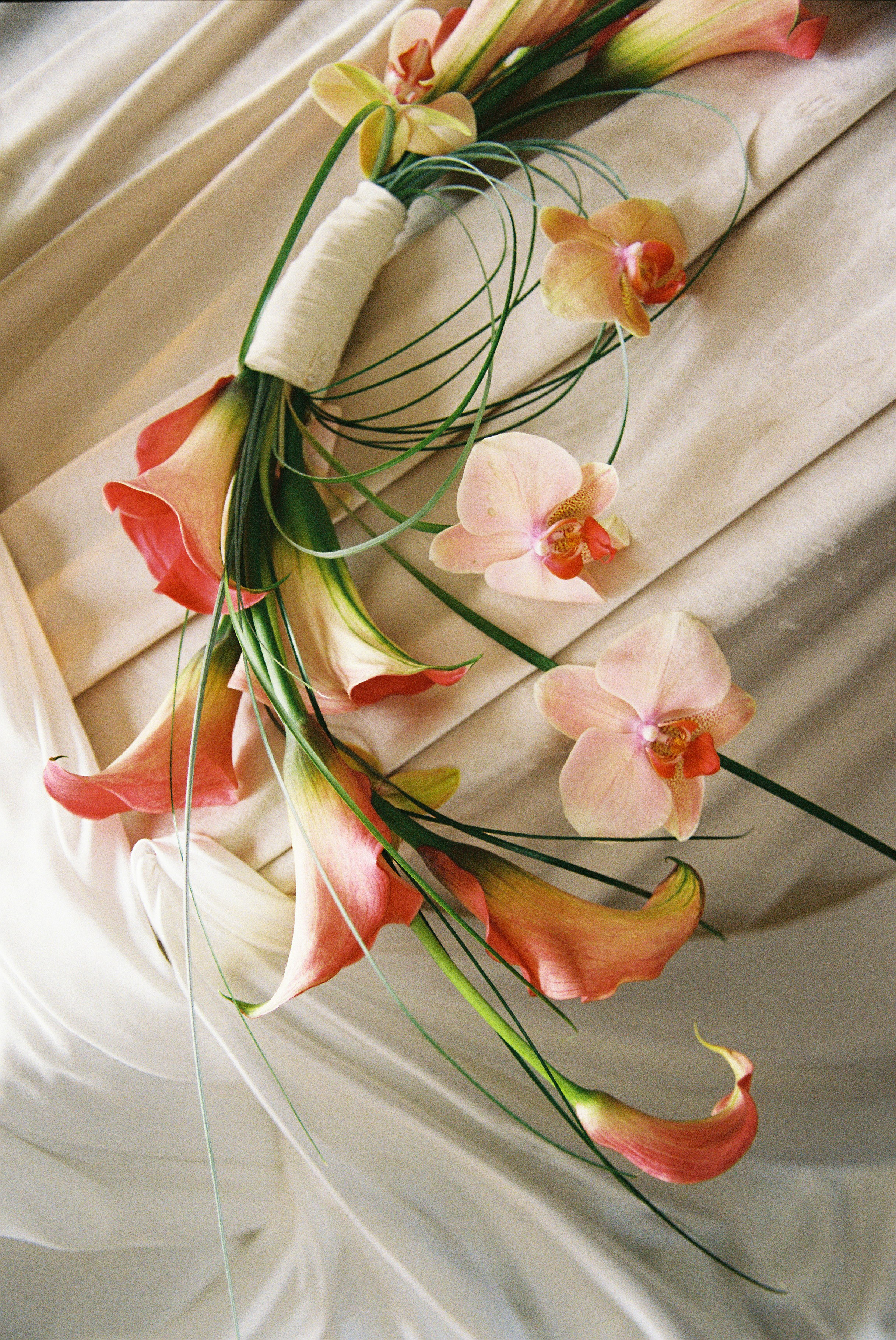 Стоимость. Фотограф Санкт-Петербург