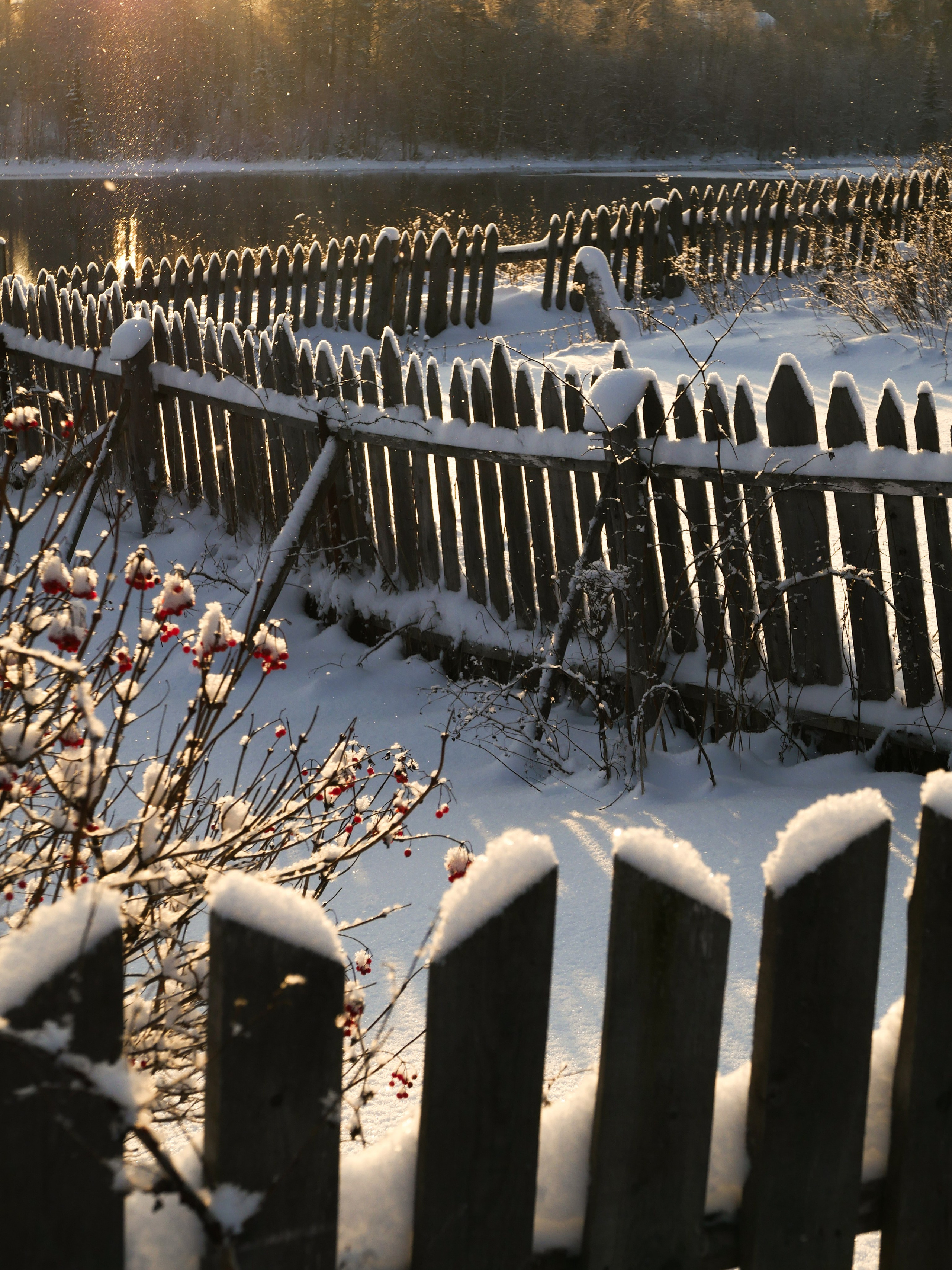 Принты. Марина Горбатова. Фотограф