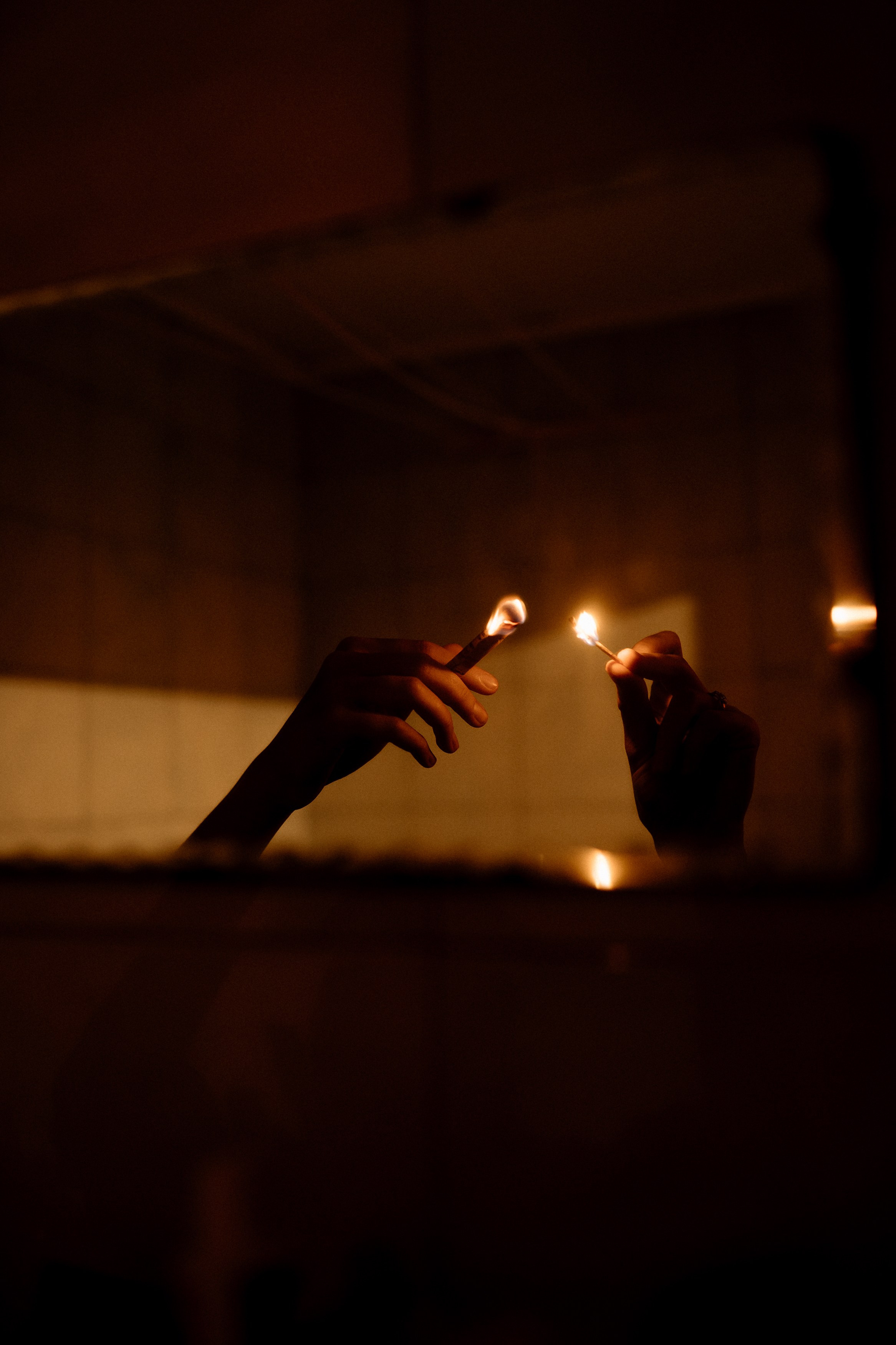 Мир, где рожден помидор. Андрейко Надежда