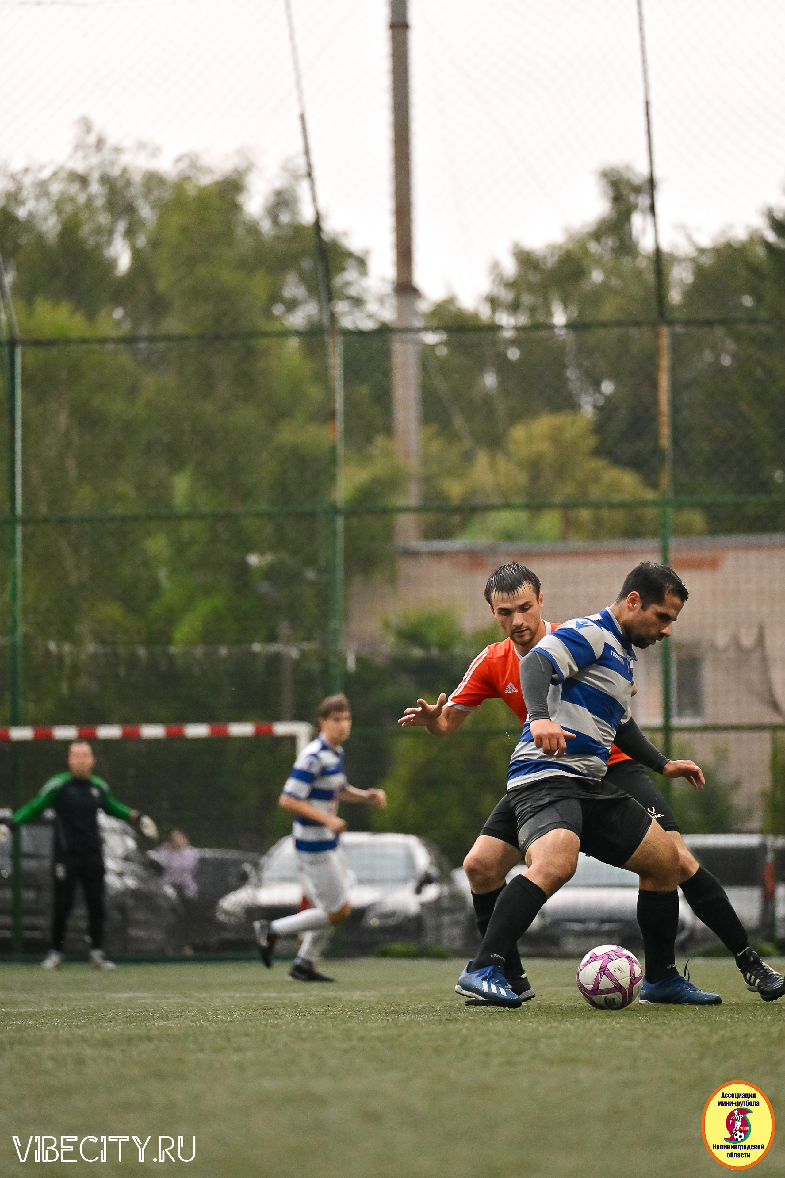 ИГРЫ МИНИ-ФУТБОЛЬНОЙ И КОРПОРАТИВНОЙ ЛИГИ. VIBECITY.RU Вайб Сити Ру Фоторепортажи Фотоотчеты Калининград