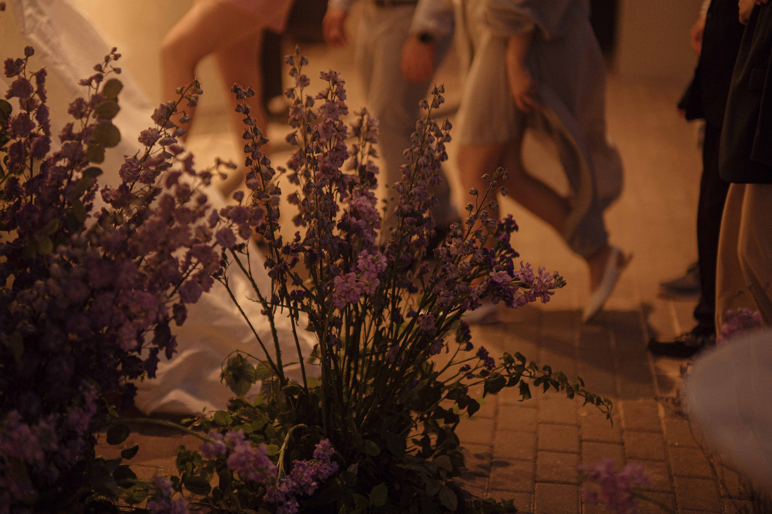 Love&Paws. Сентиментальная свадебная фотография