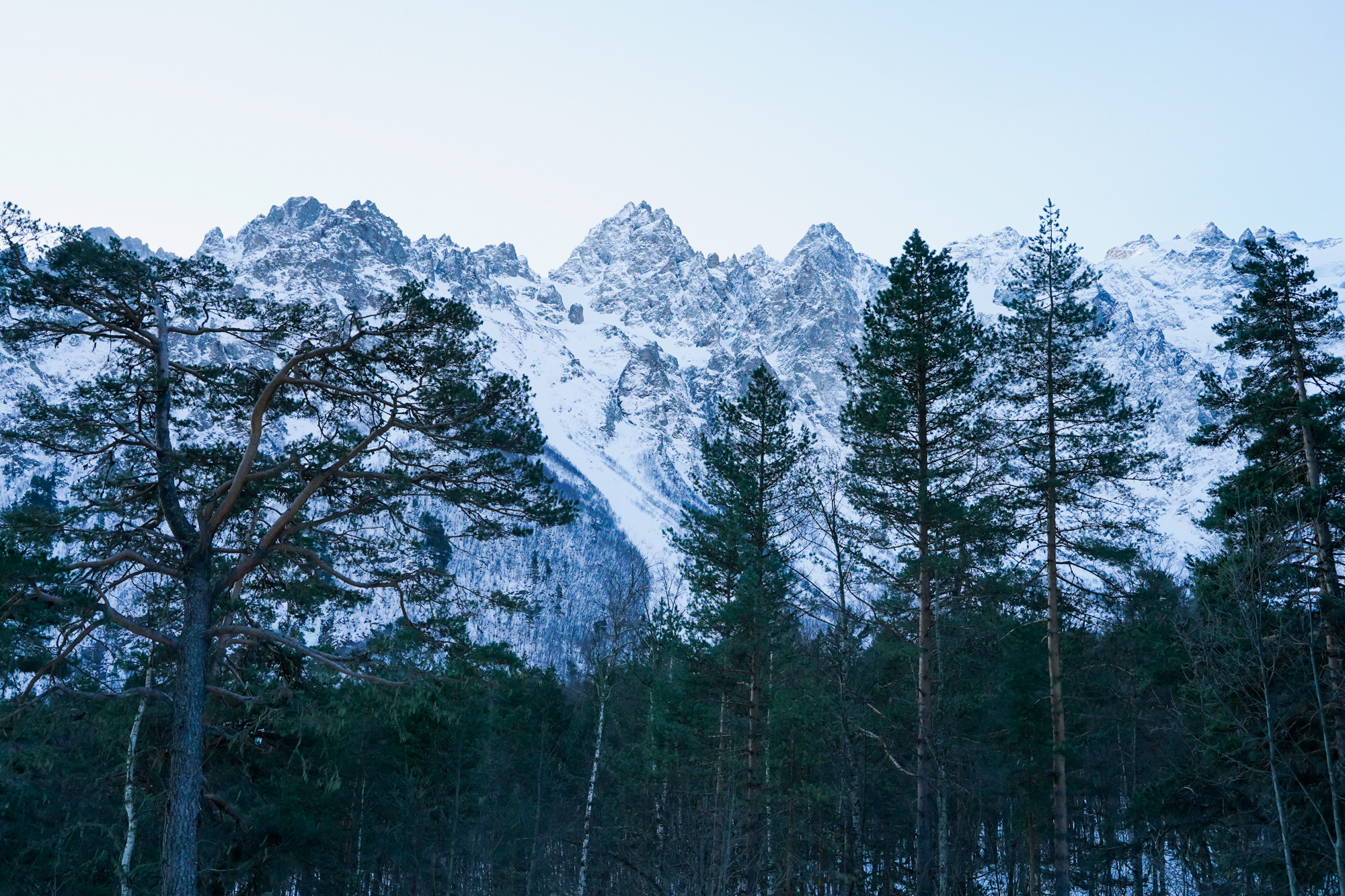 Альпсбор в Цей, Сев. Осетия. Фотограф Анастасия Арланцева