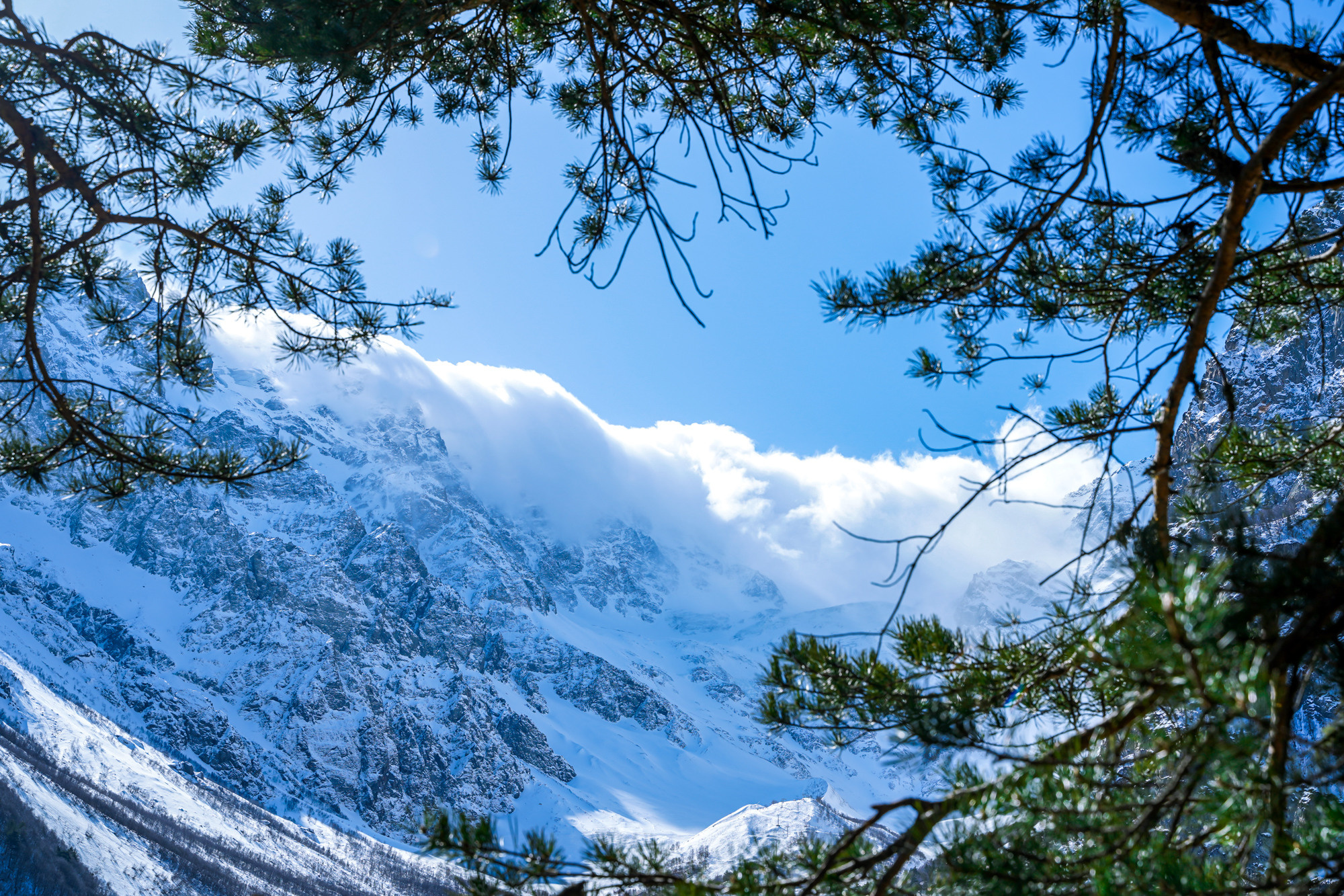 Альпсбор в Цей, Сев. Осетия. Фотограф Анастасия Арланцева
