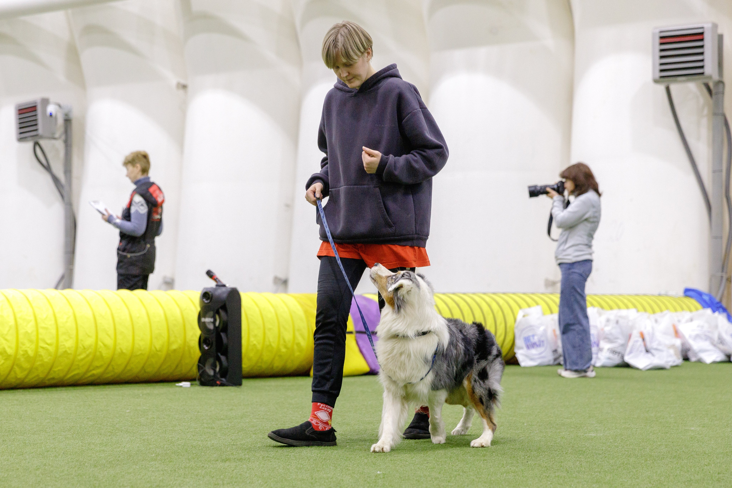 О нас. BLGKV питомник собак