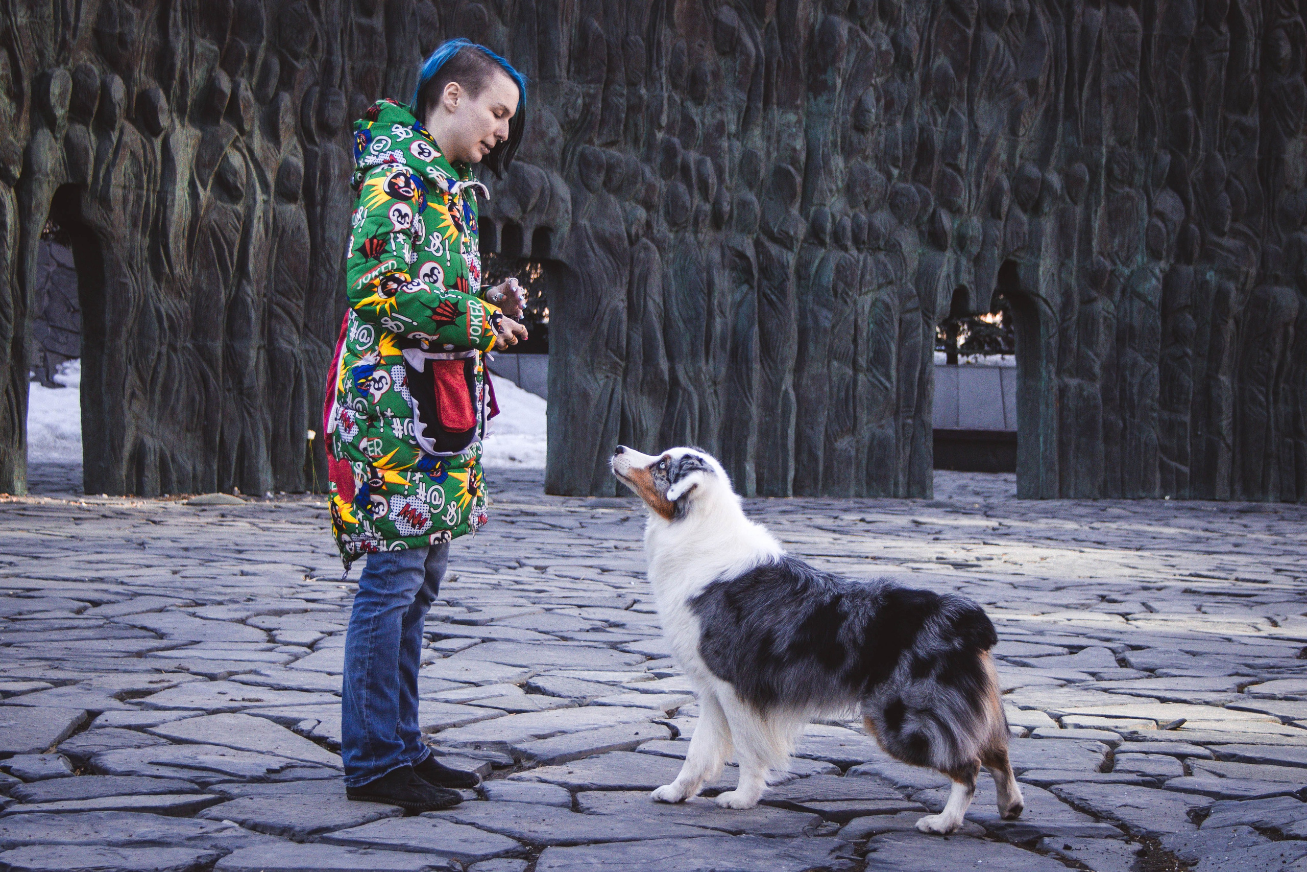 О нас. BLGKV питомник собак