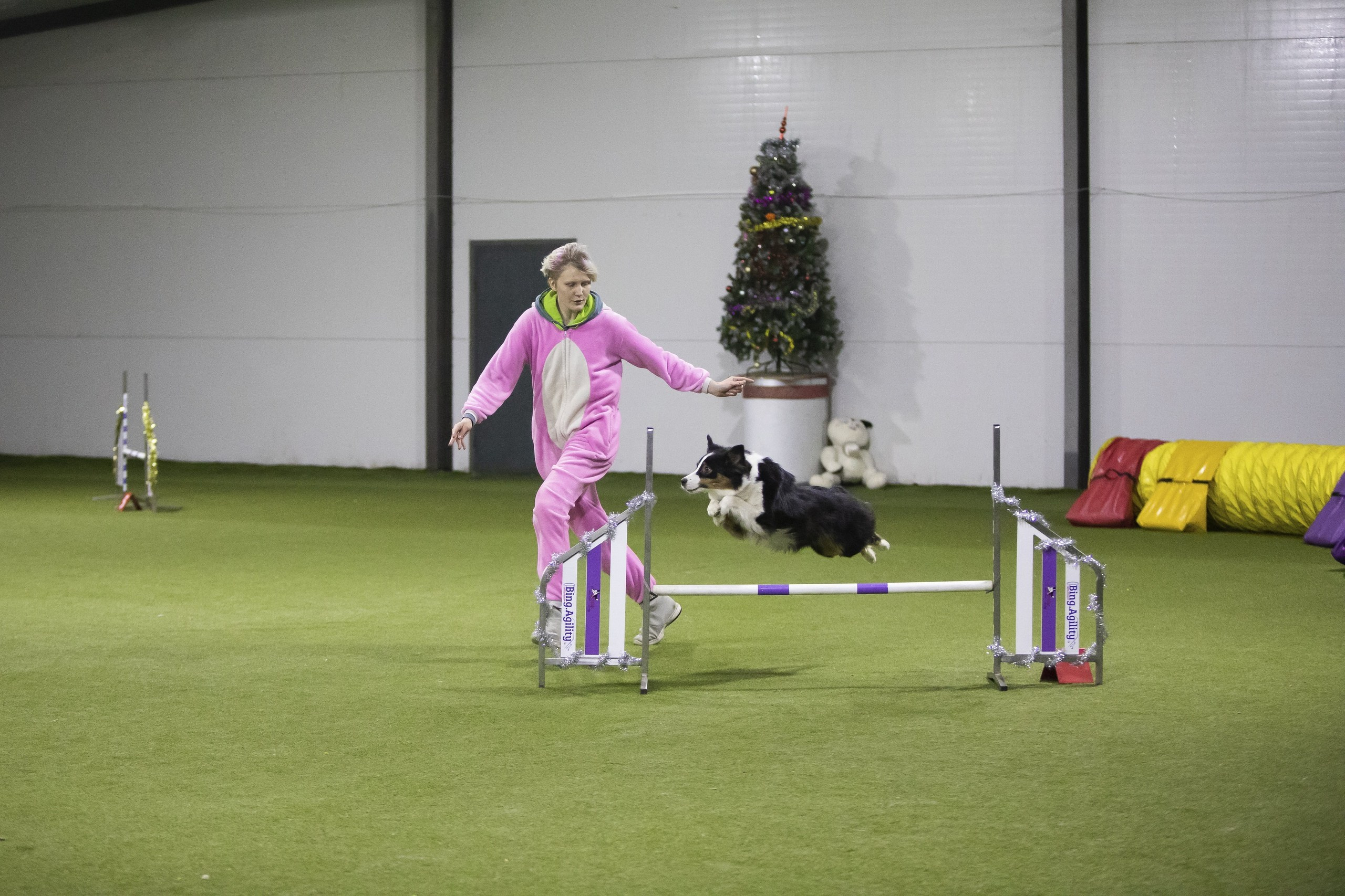 Нами. BLGKV питомник собак