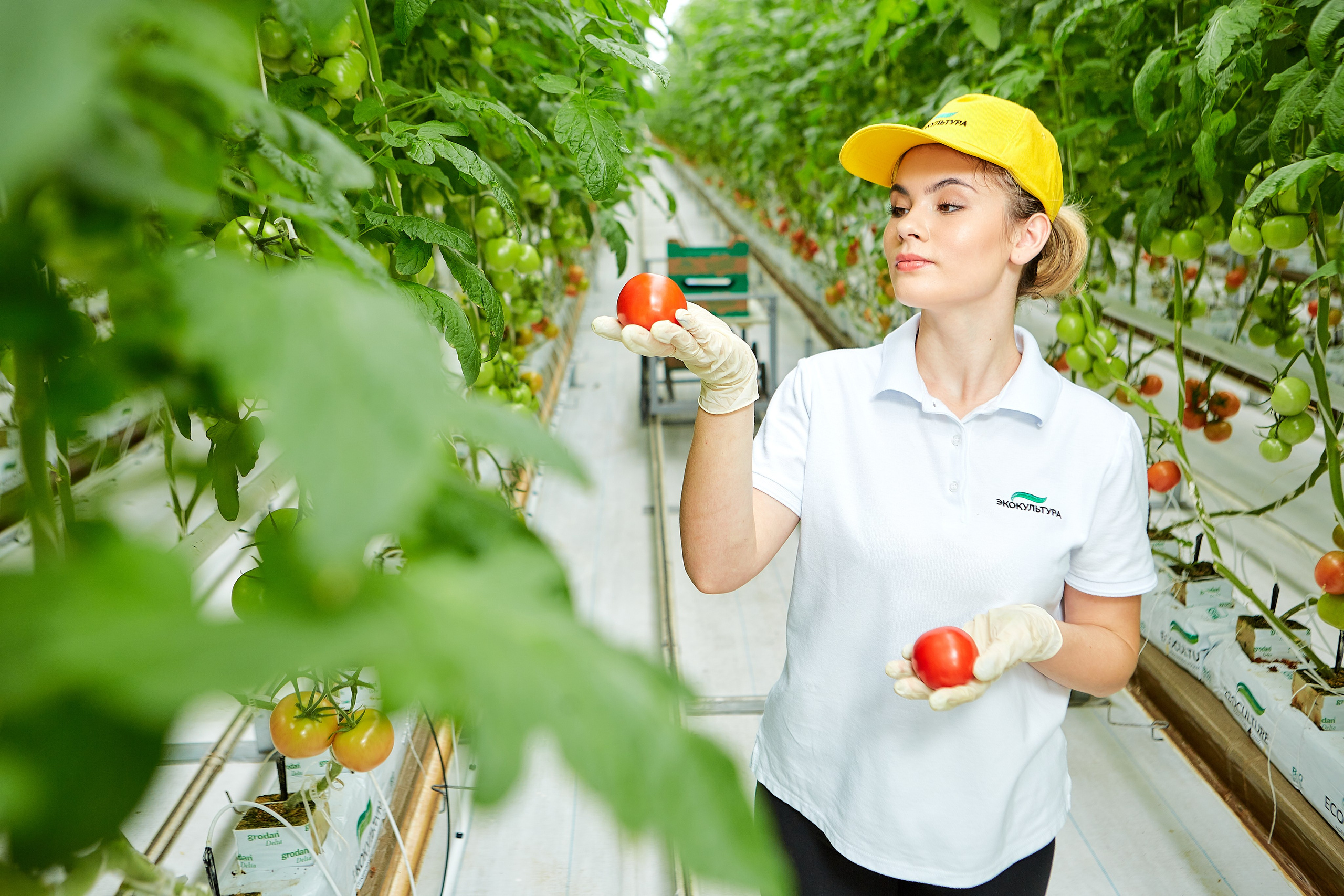 Эко-Культура