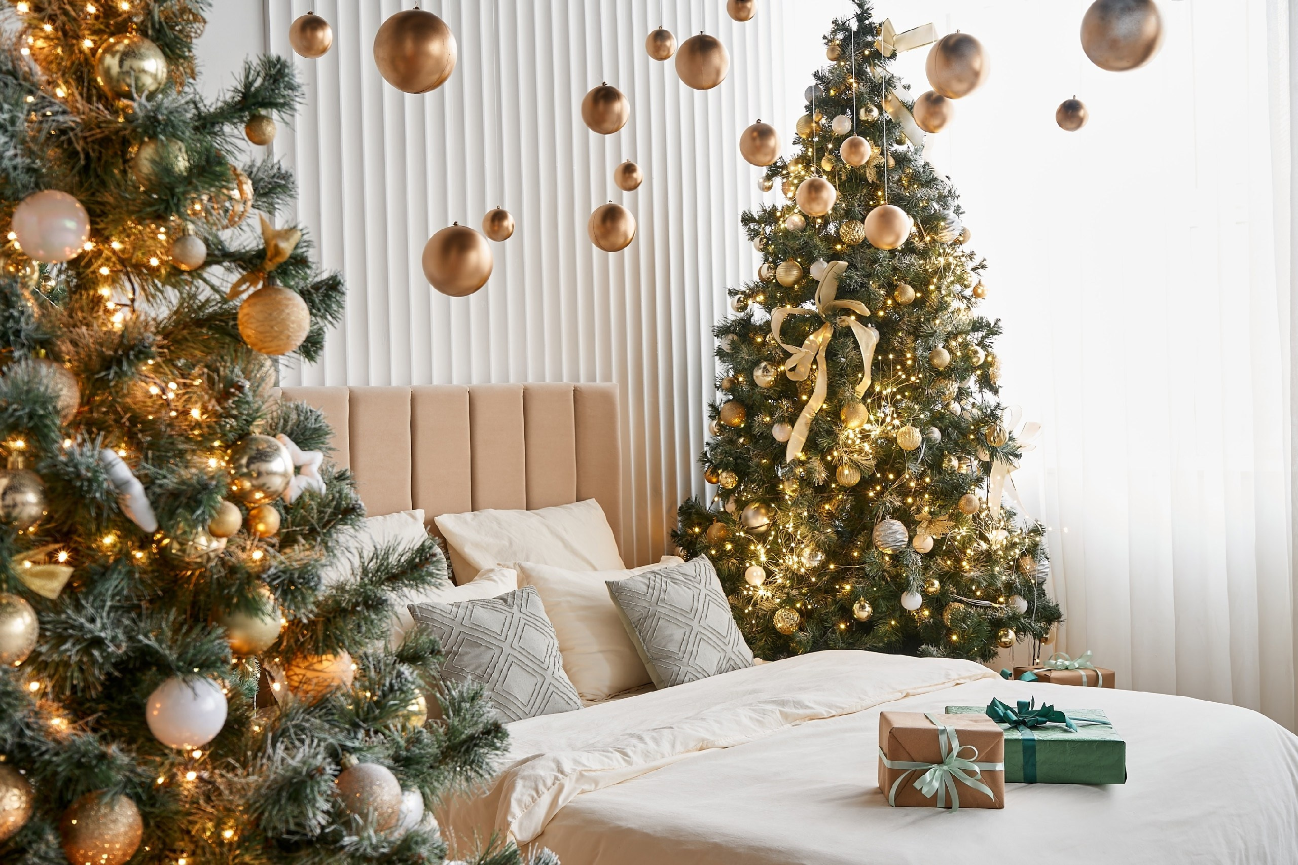 Фотостудии. Свадебный и семейный фотограф в Туле Анастасия Чаликова