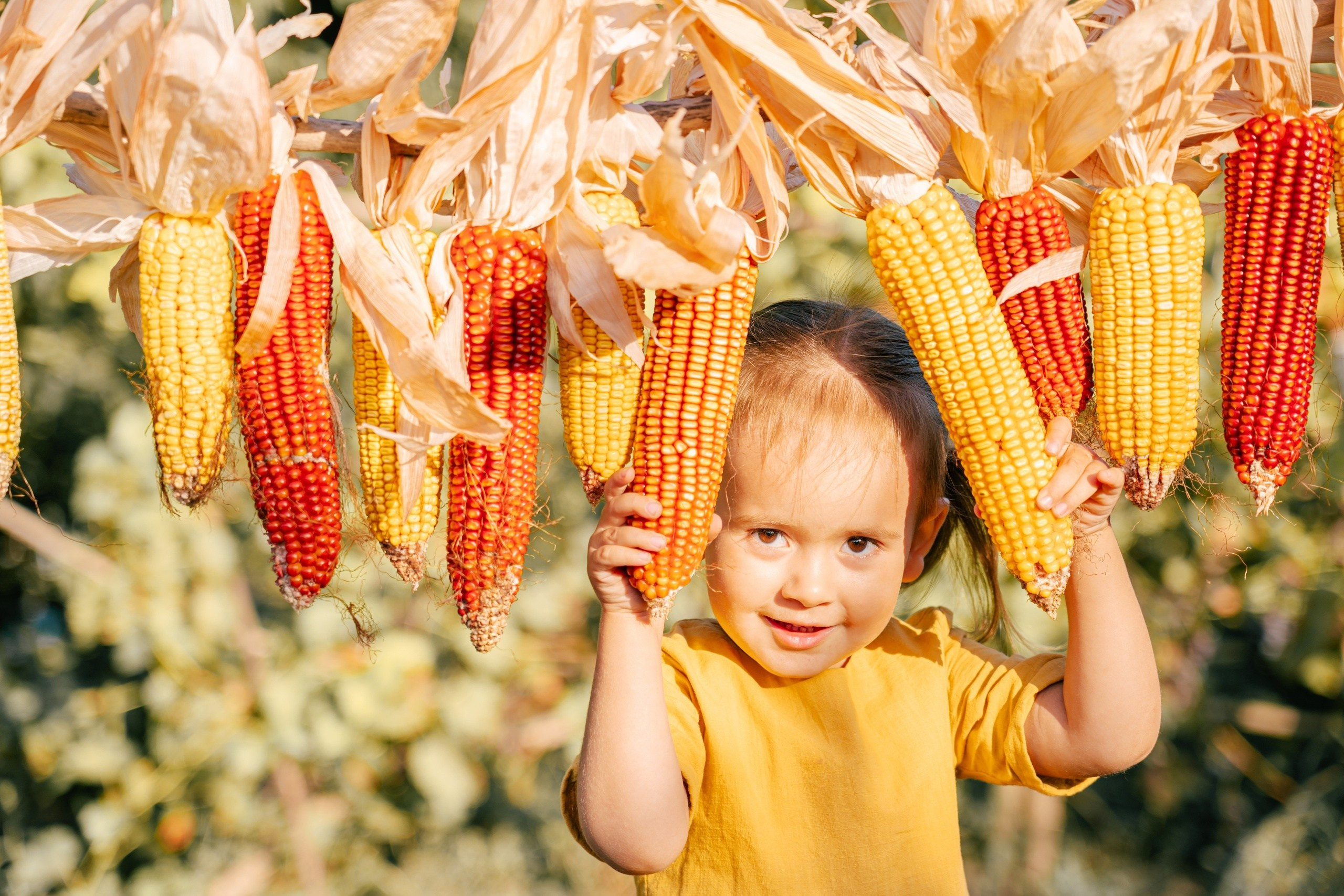 Портрет маленькой девочки среди початков кукурузы, жизнь в деревне