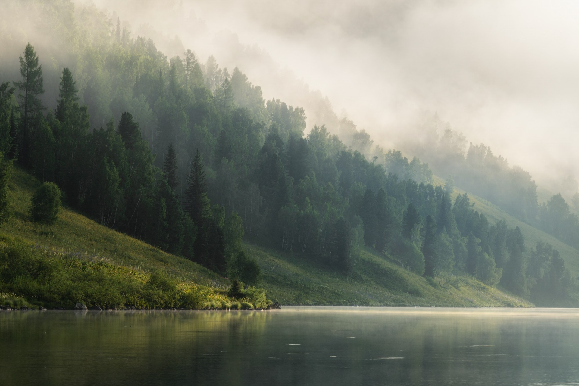 Лето в Горном Алтае. Профессиональный пейзажный фотограф Алёна Рубан