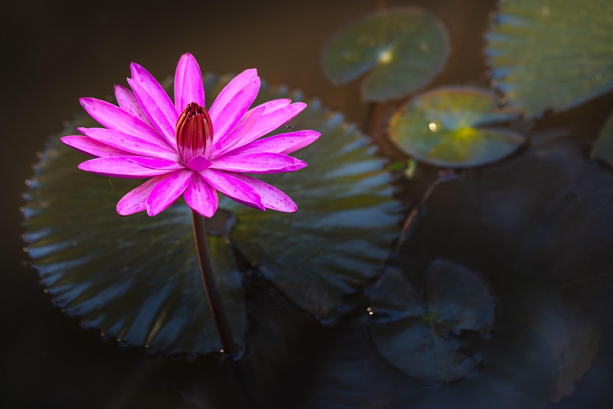 High-quality interior photos for your home, office, hotel