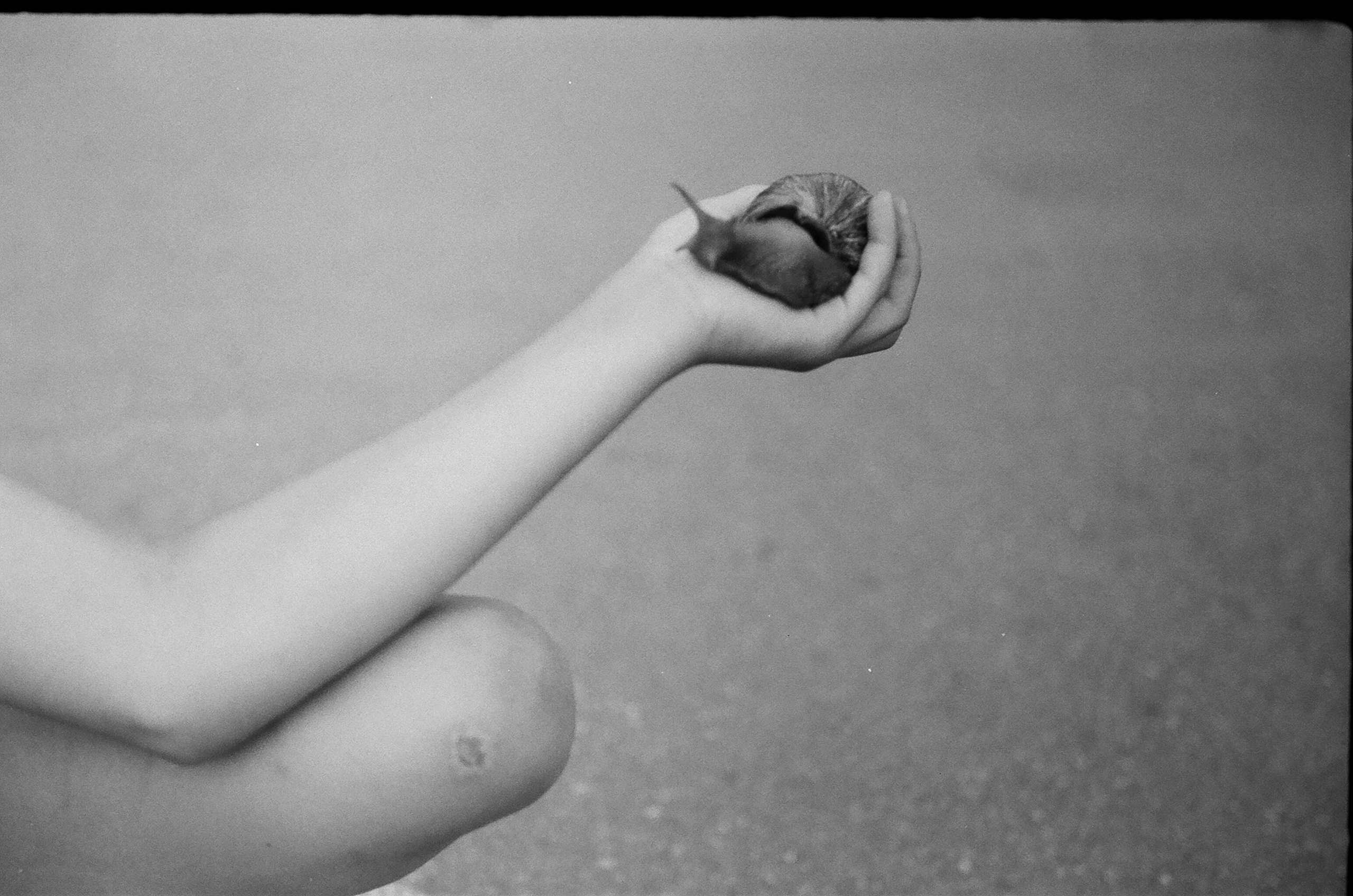Плакучая ива. Фотограф-любитель Ксения Мирзоян
