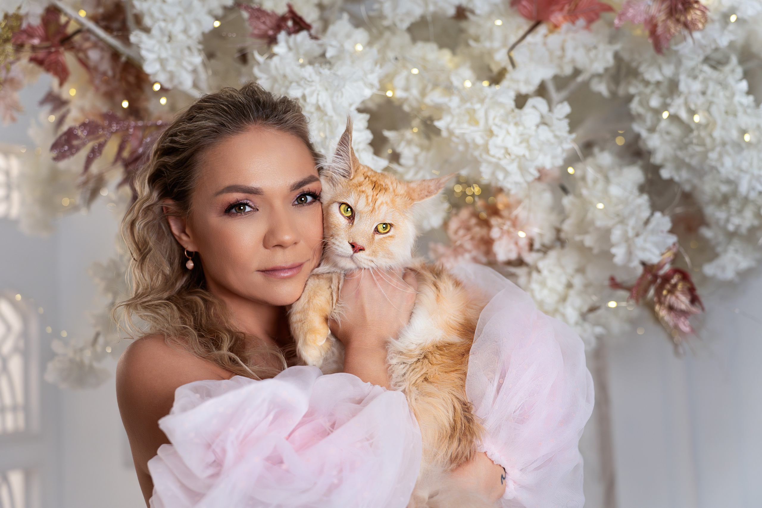 Фотосессия с котом и котятами в студии в Москве от фотографа Елены Жмельковой