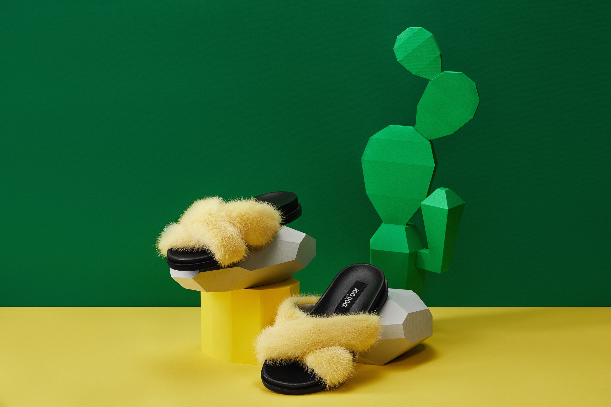 JOG DOG. Фотограф Сергей Бойко Москва