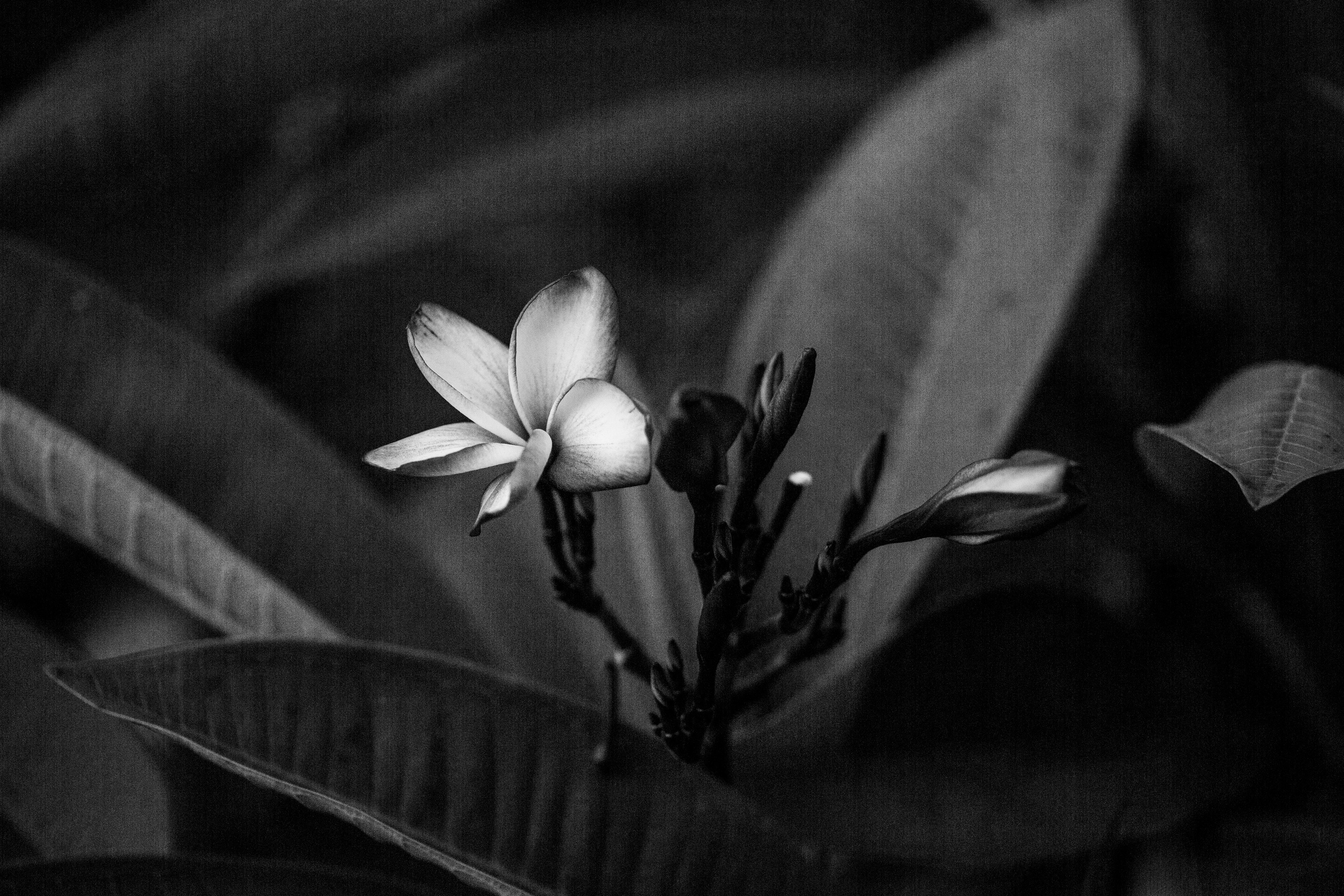 Таиланд. Фотограф Даша Омельченко