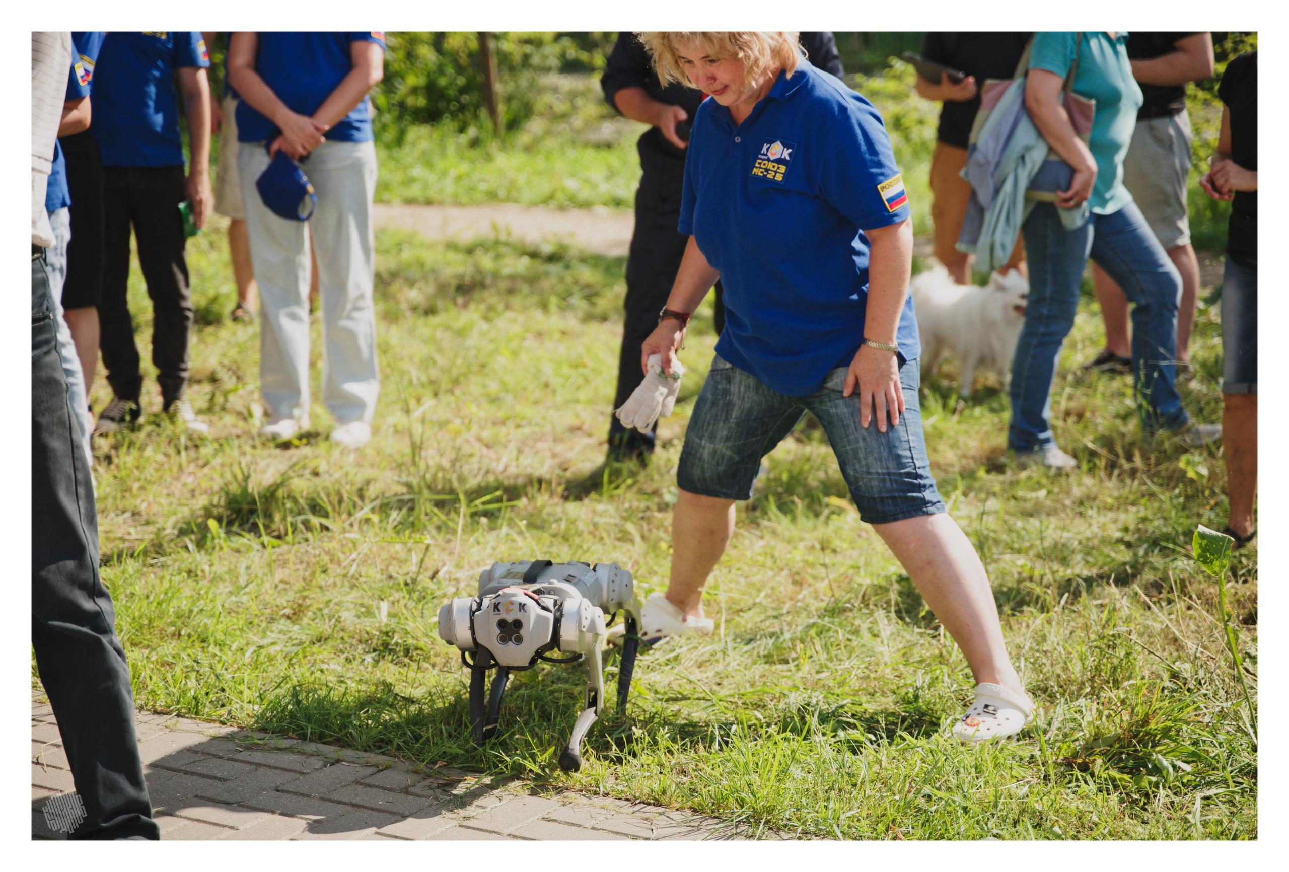 Робосубботник КСК. Фотограф в Иваново: Каталожная съемка одежды и постельного белья, Wildberries