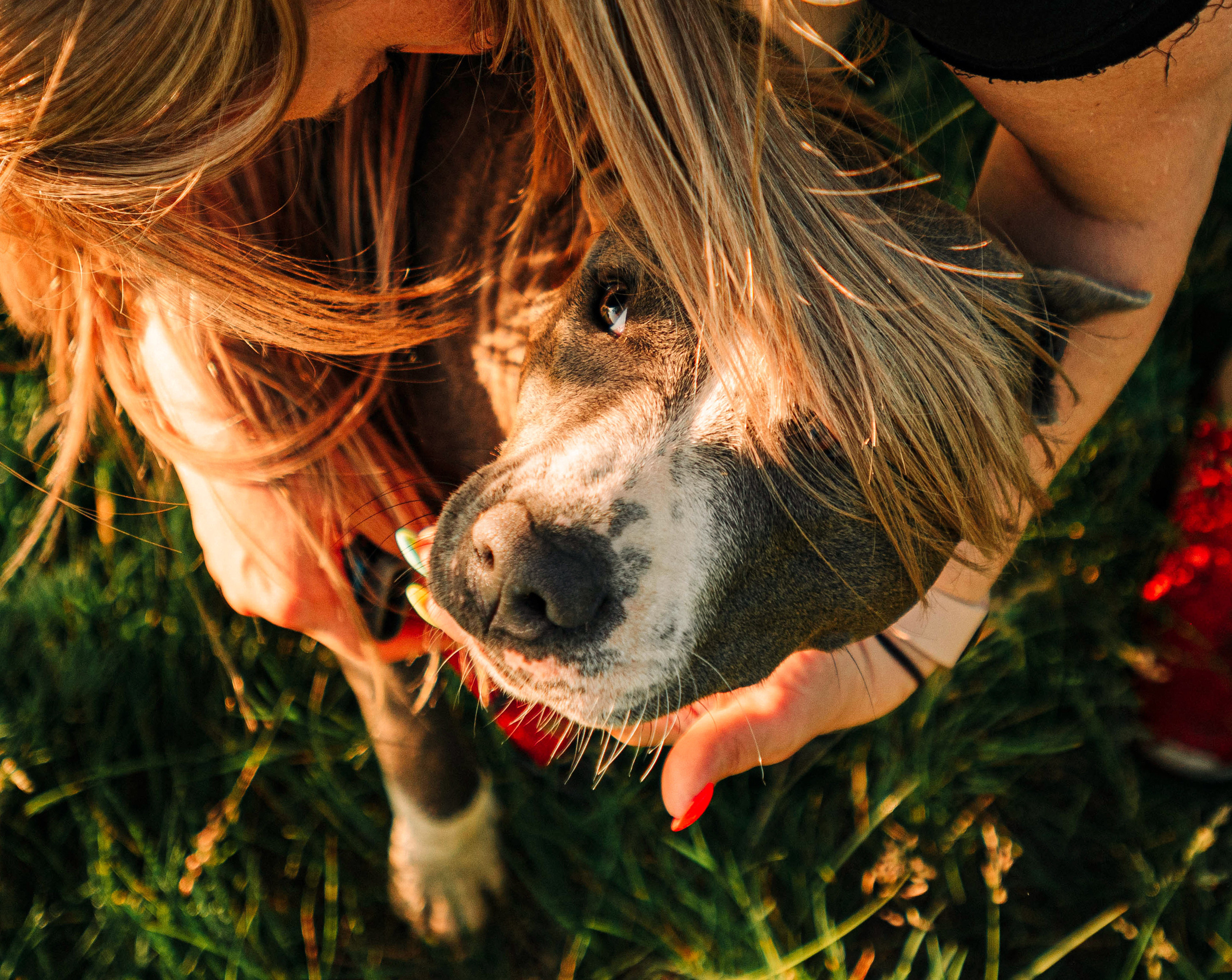 Юлия и Бэтти. Фотограф — анималист Саратов/Москва|Плужникова Юлия