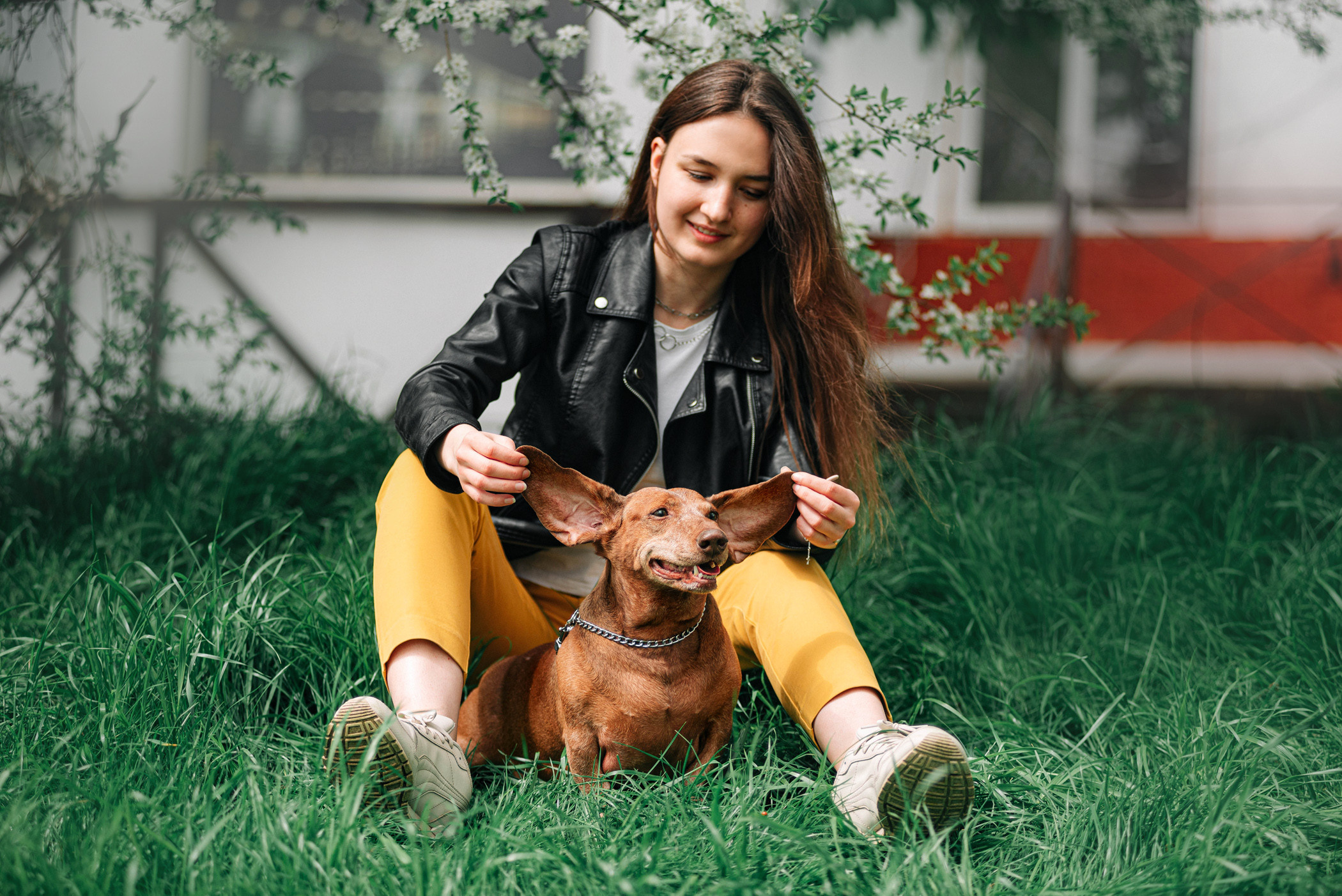 Ира и Рекс. Фотограф — анималист Саратов/Москва|Плужникова Юлия