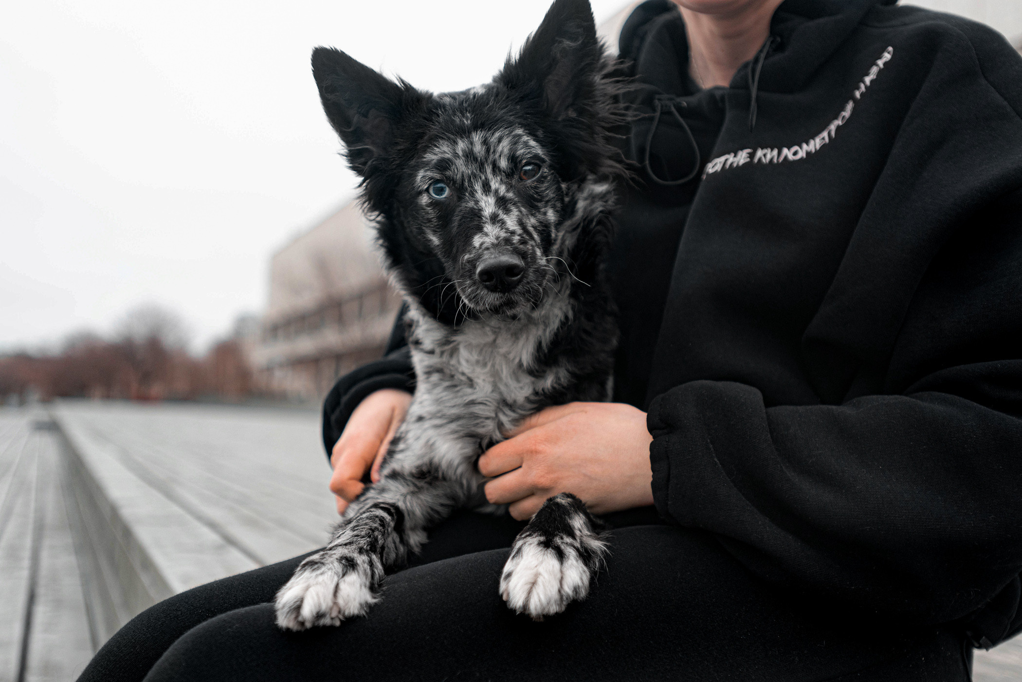 Маша и Эни в Музеоне. Фотограф — анималист Саратов/Москва|Плужникова Юлия