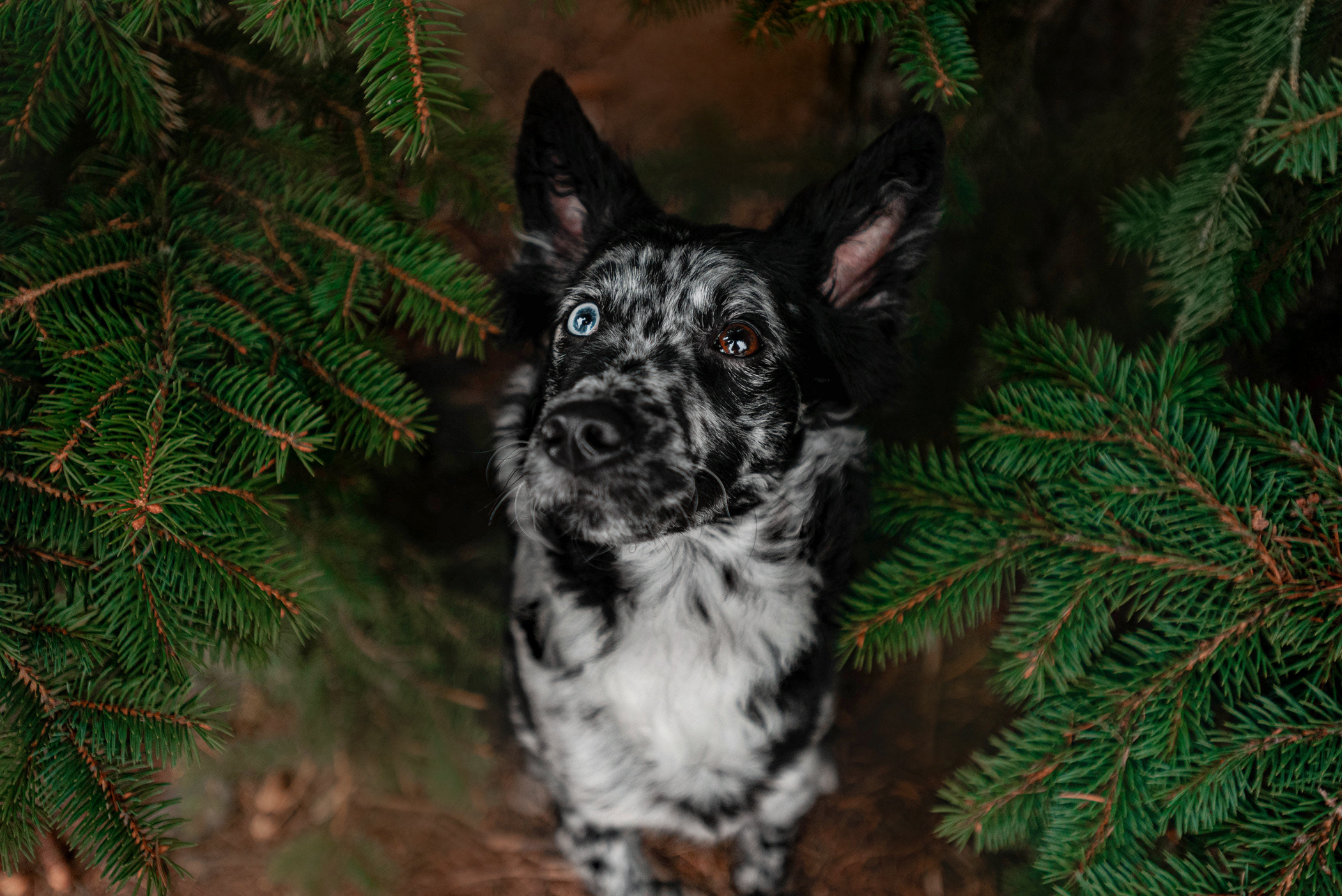 Маша и Эни в Музеоне. Фотограф — анималист Саратов/Москва|Плужникова Юлия