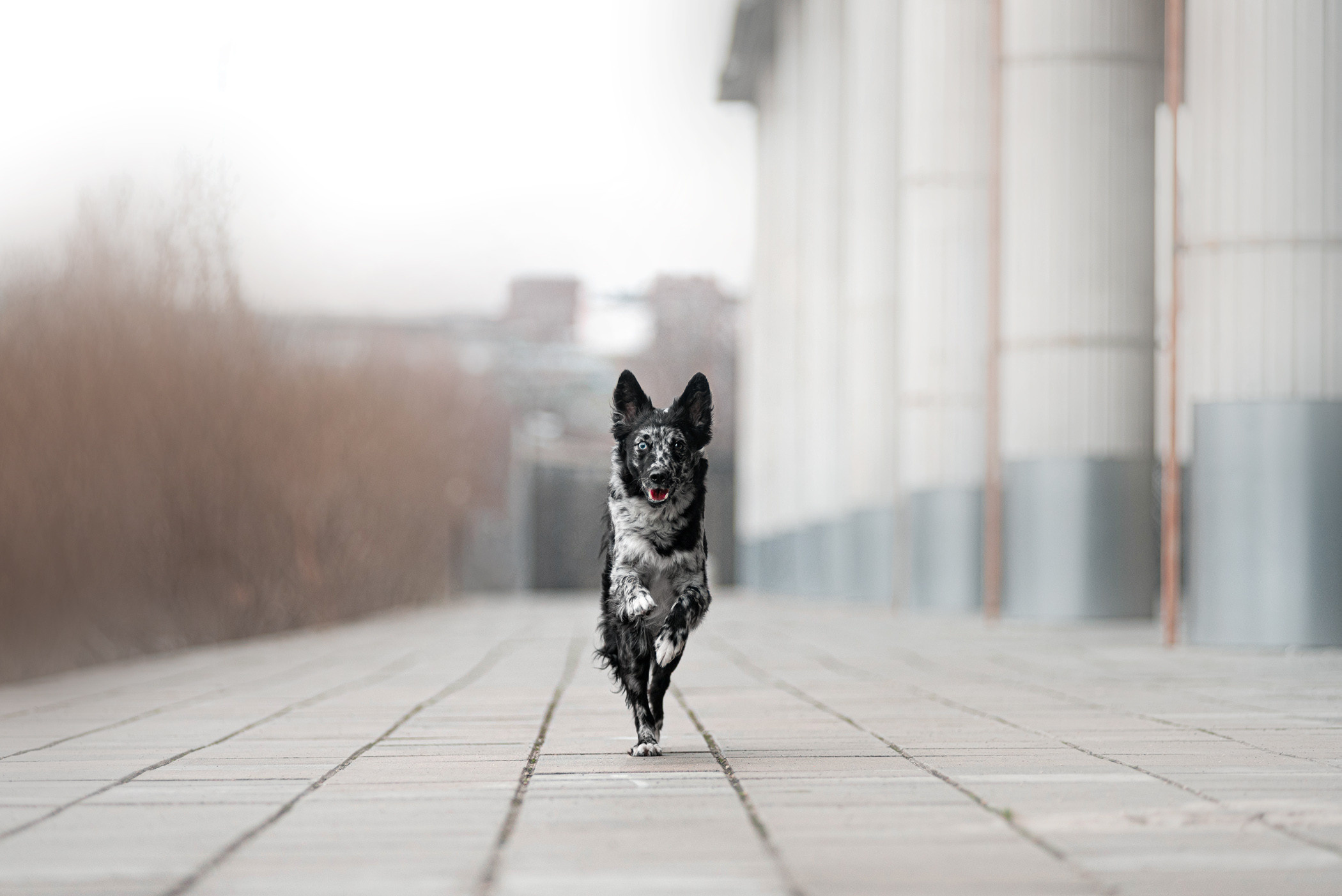 Маша и Эни в Музеоне. Фотограф — анималист Саратов/Москва|Плужникова Юлия