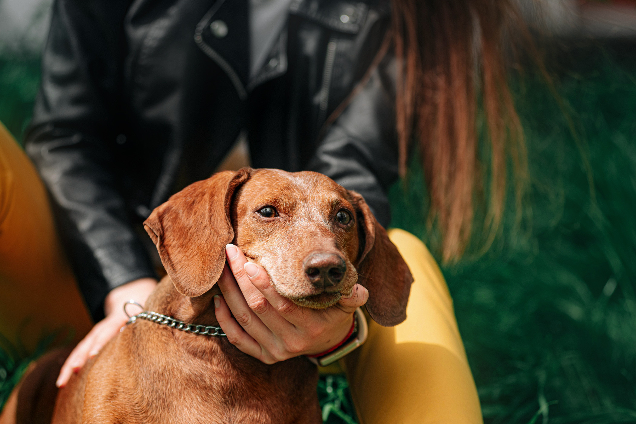 Ира и Рекс. Фотограф — анималист Саратов/Москва|Плужникова Юлия