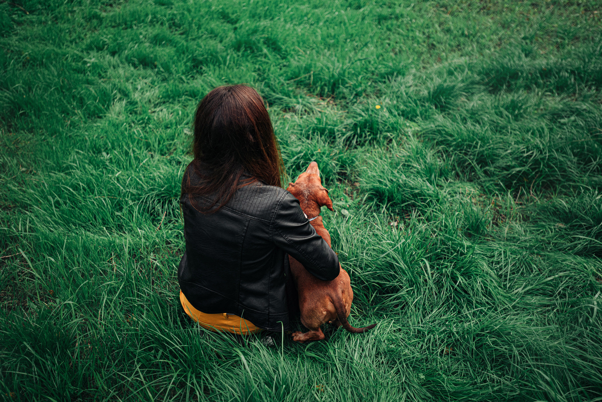 Ира и Рекс. Фотограф — анималист Саратов/Москва|Плужникова Юлия