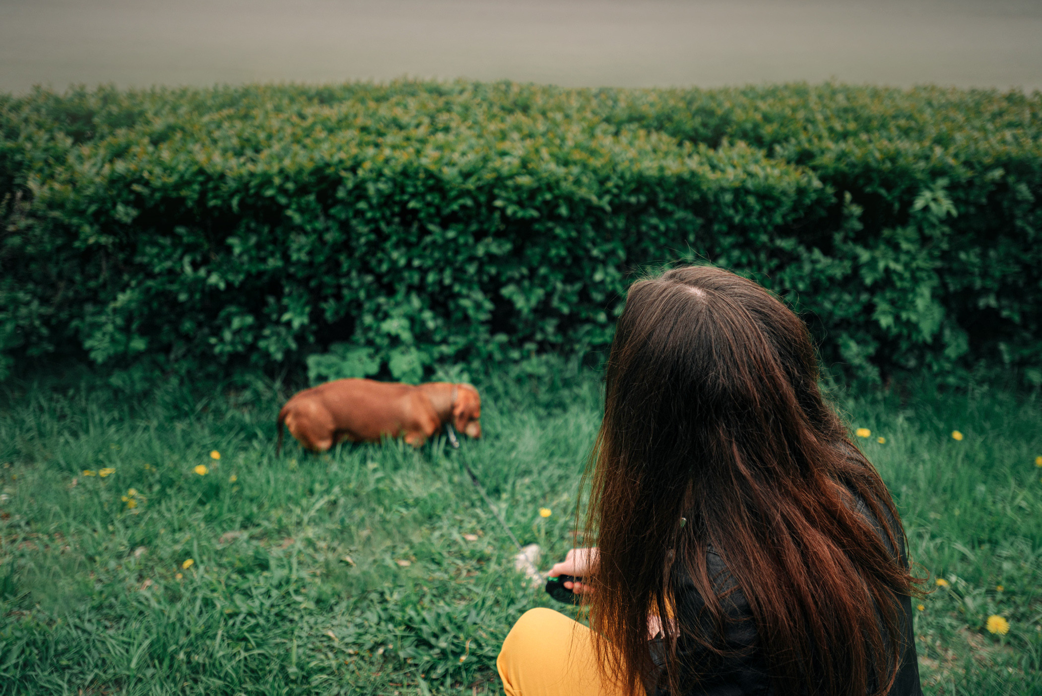 Ира и Рекс. Фотограф — анималист Саратов/Москва|Плужникова Юлия