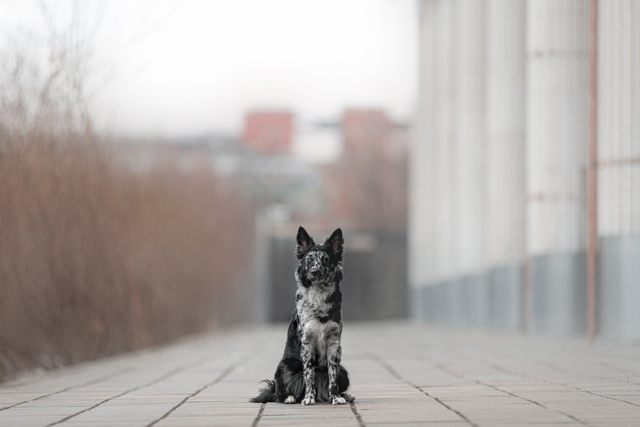 Маша и Эни в Музеоне. Фотограф — анималист Саратов/Москва|Плужникова Юлия