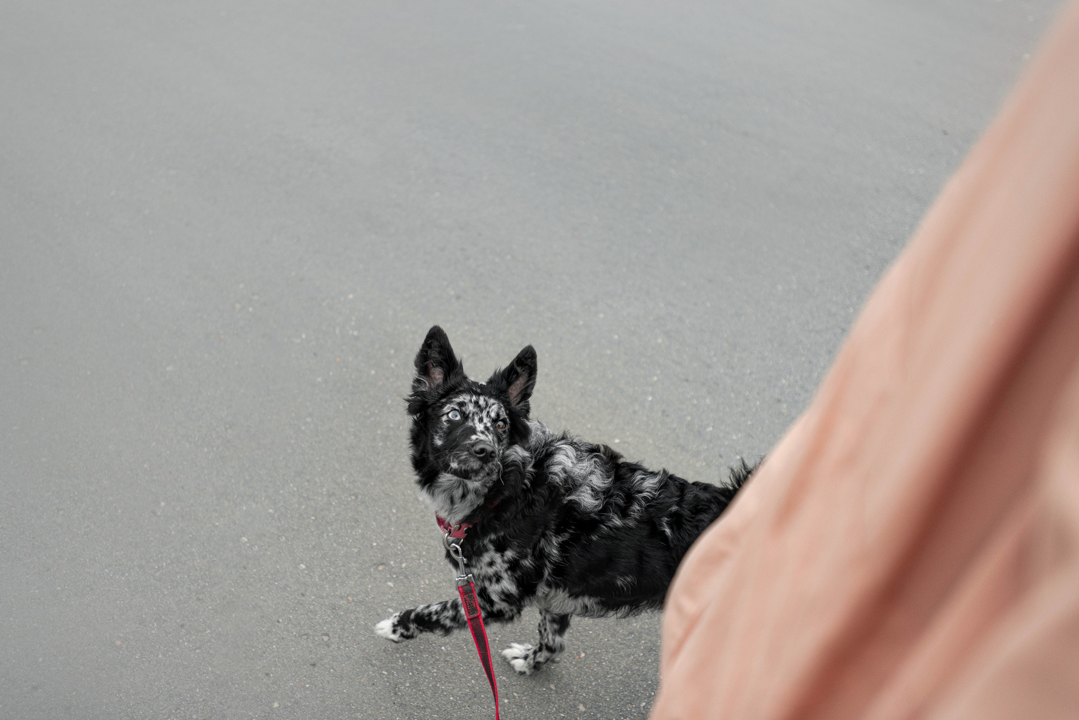 Маша и Эни в Музеоне. Фотограф — анималист Саратов/Москва|Плужникова Юлия