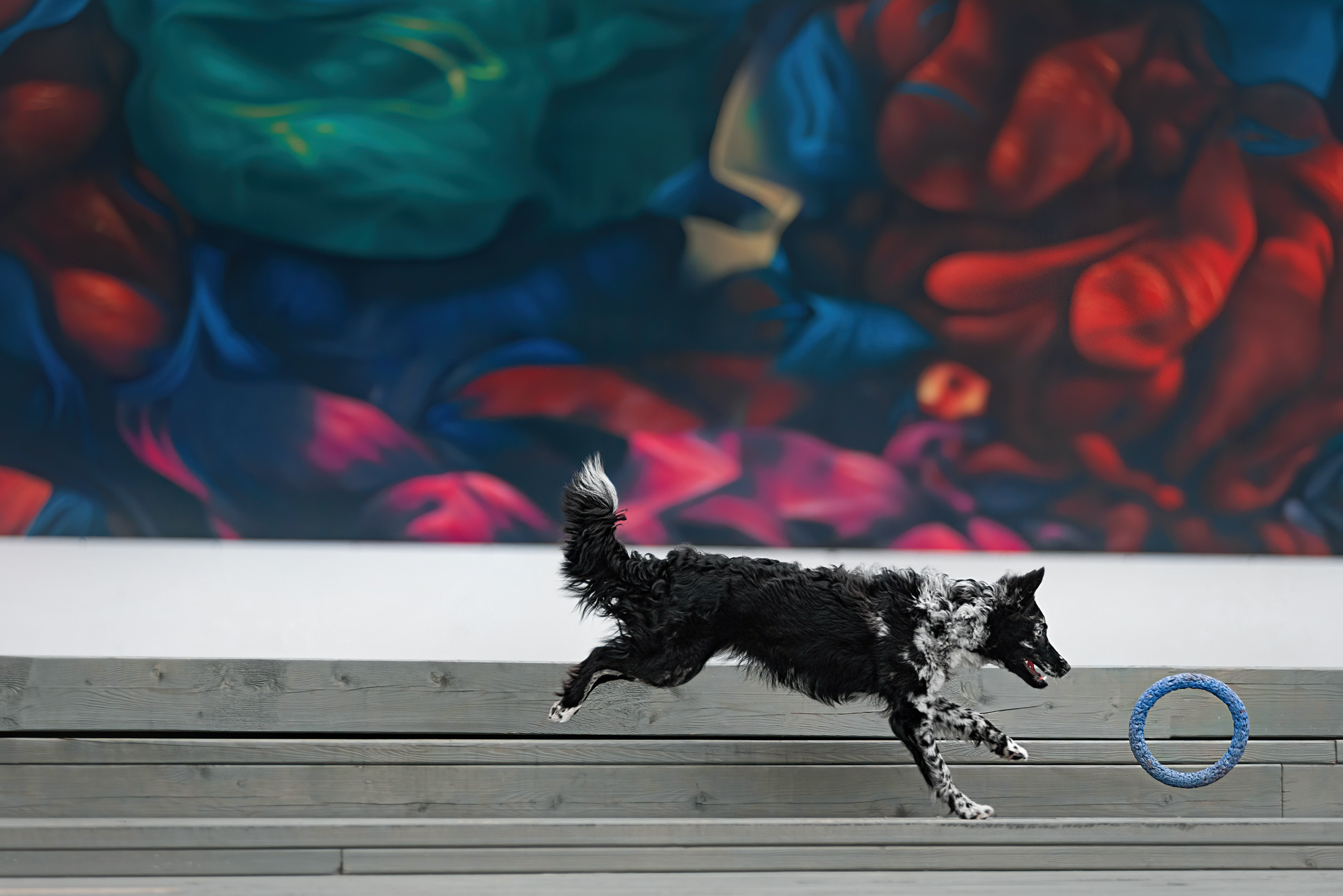 Маша и Эни в Музеоне. Фотограф — анималист Саратов/Москва|Плужникова Юлия