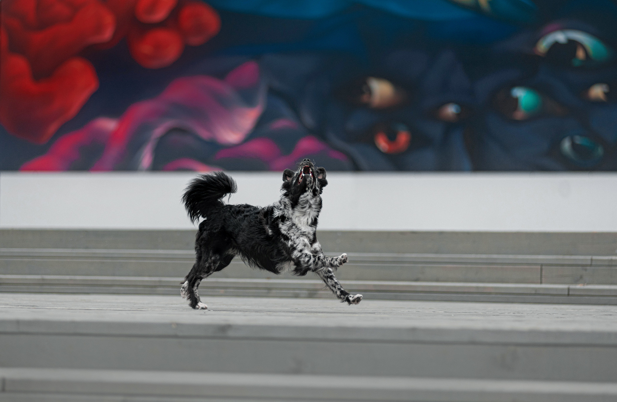 Маша и Эни в Музеоне. Фотограф — анималист Саратов/Москва|Плужникова Юлия