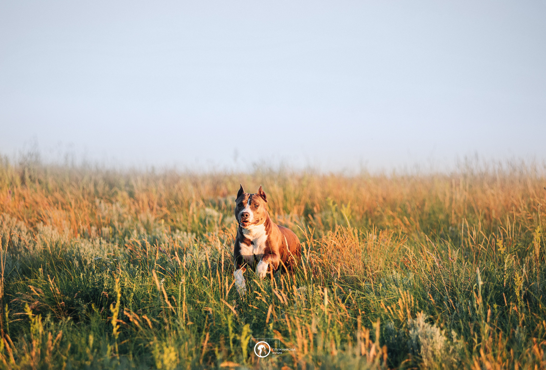 Юлия и Бэтти. Фотограф — анималист Саратов/Москва|Плужникова Юлия
