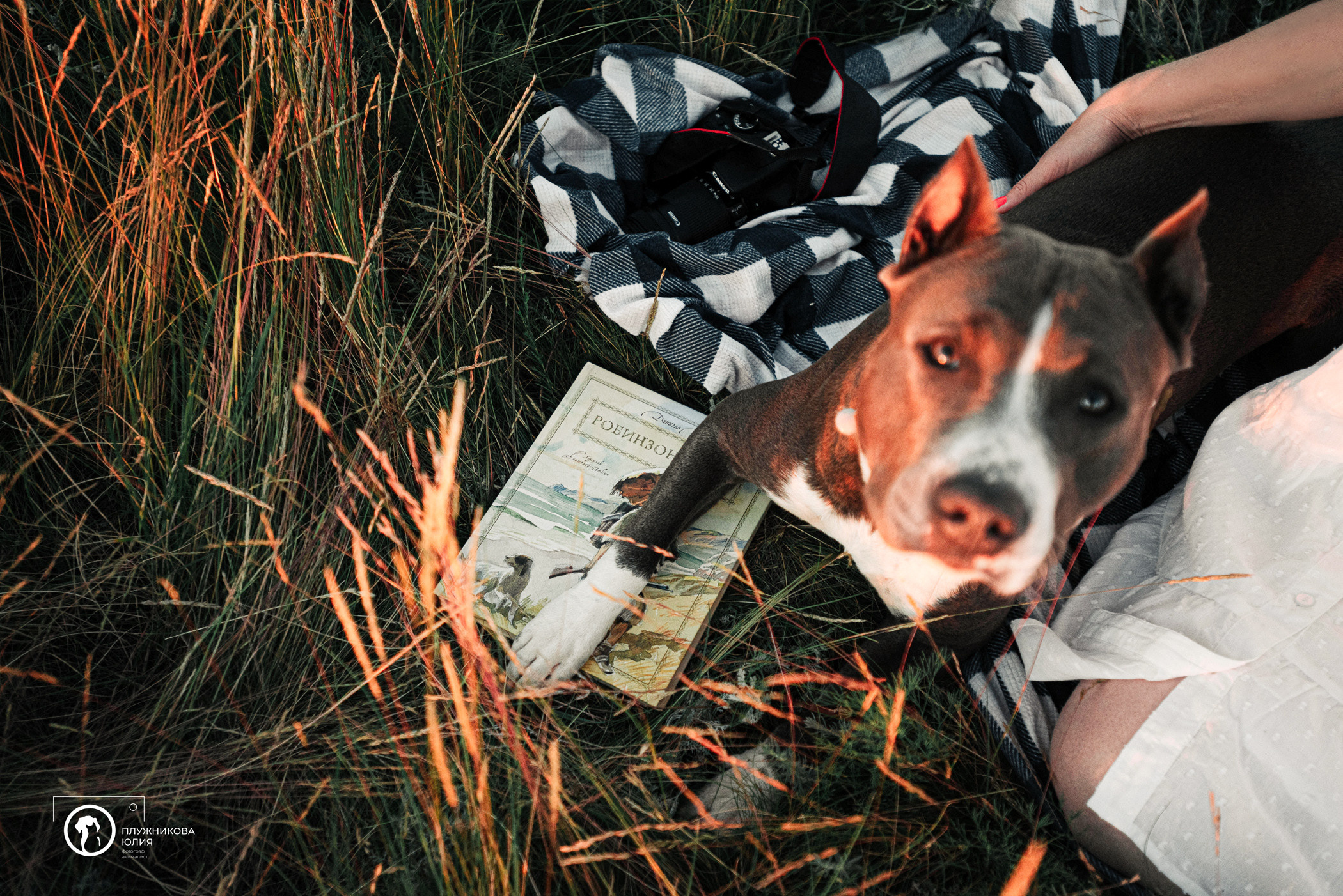 Юлия и Бэтти. Фотограф — анималист Саратов/Москва|Плужникова Юлия