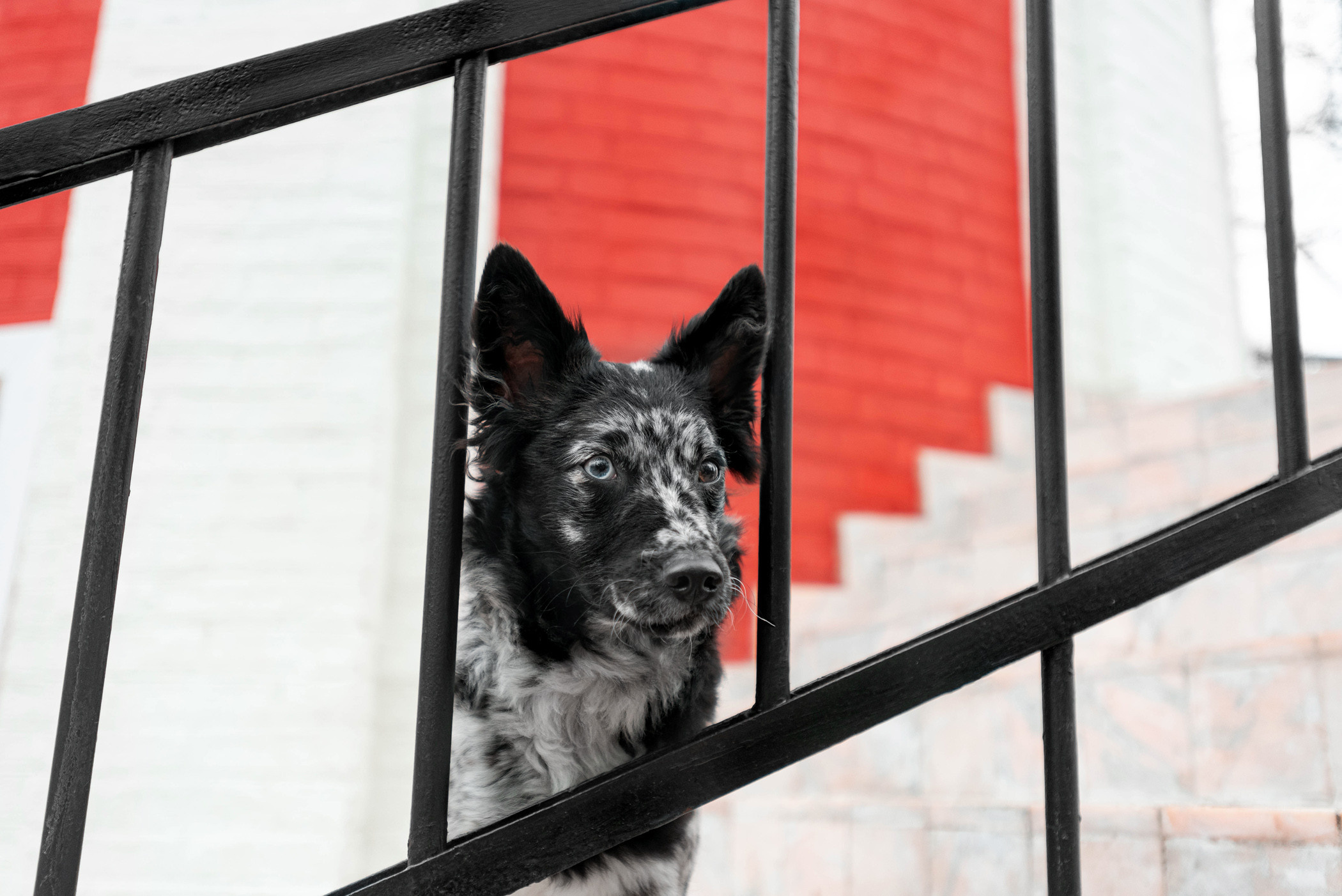 Маша и Эни в Музеоне. Фотограф — анималист Саратов/Москва|Плужникова Юлия