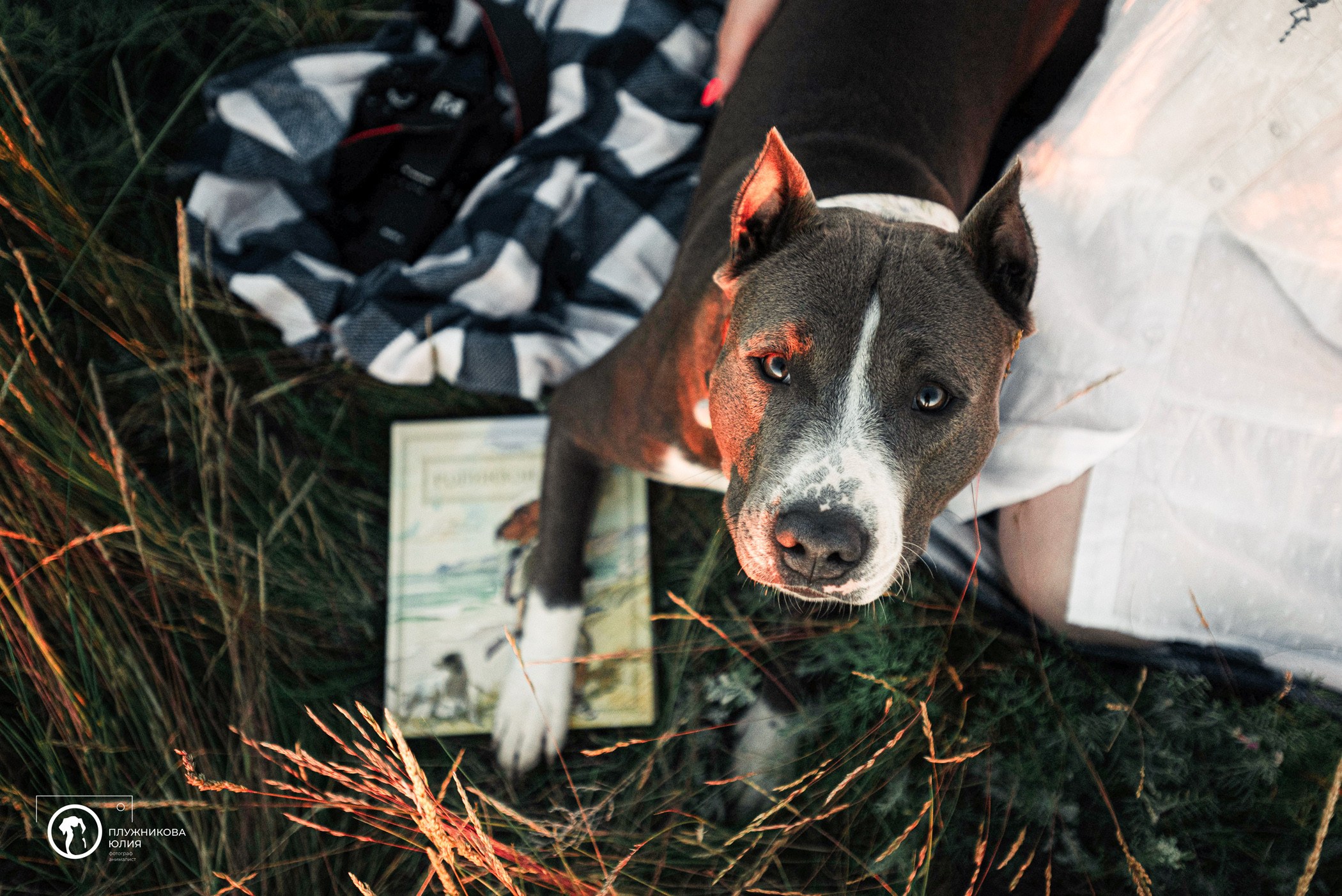 Юлия и Бэтти. Фотограф — анималист Саратов/Москва|Плужникова Юлия