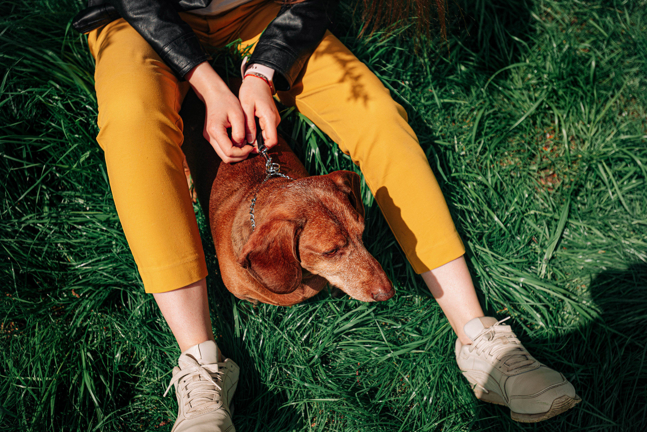 Ира и Рекс. Фотограф — анималист Саратов/Москва|Плужникова Юлия