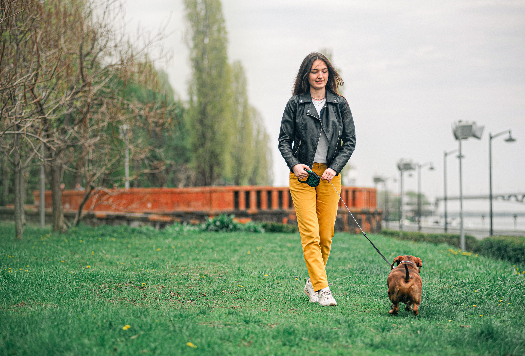 Ира и Рекс. Фотограф — анималист Саратов/Москва|Плужникова Юлия