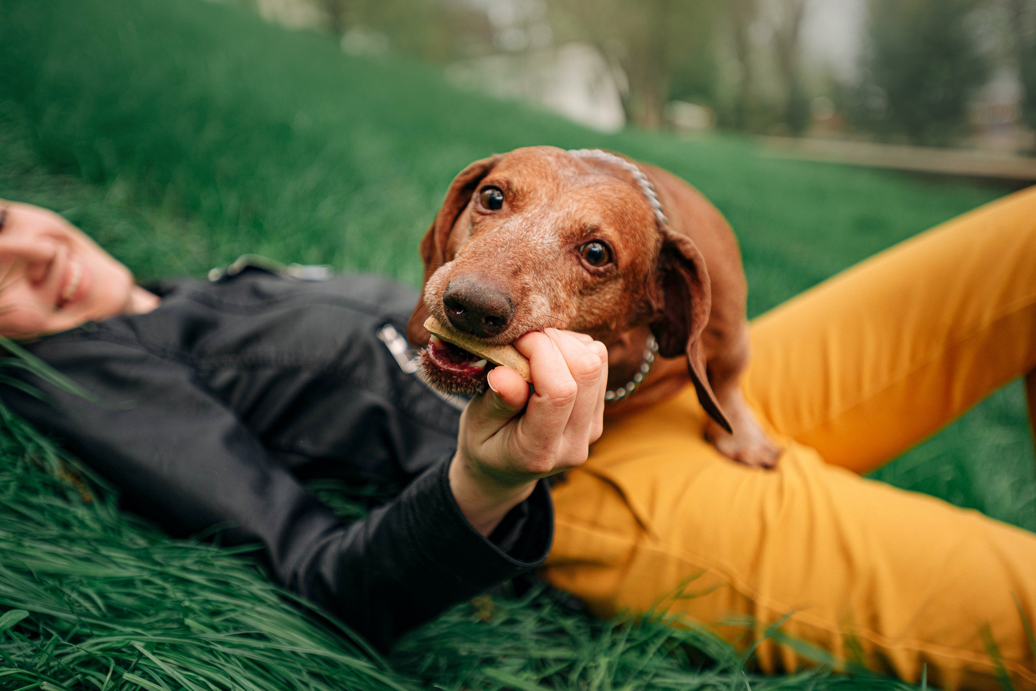 Ира и Рекс. Фотограф — анималист Саратов/Москва|Плужникова Юлия