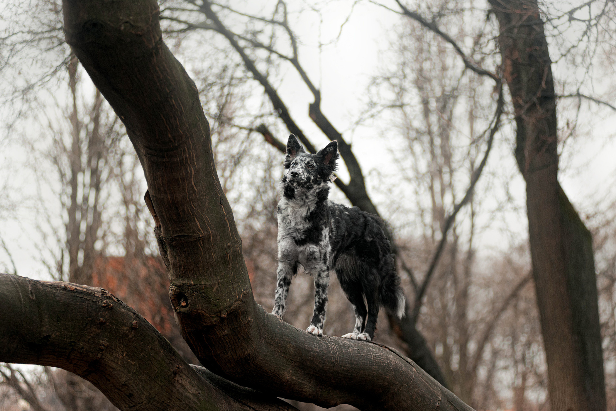 Маша и Эни в Музеоне. Фотограф — анималист Саратов/Москва|Плужникова Юлия