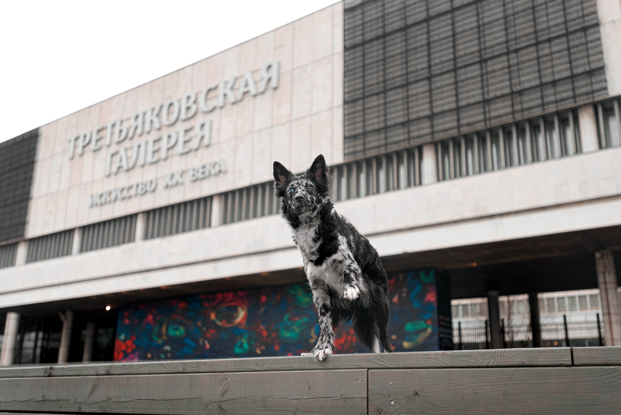 Маша и Эни в Музеоне. Фотограф — анималист Саратов/Москва|Плужникова Юлия