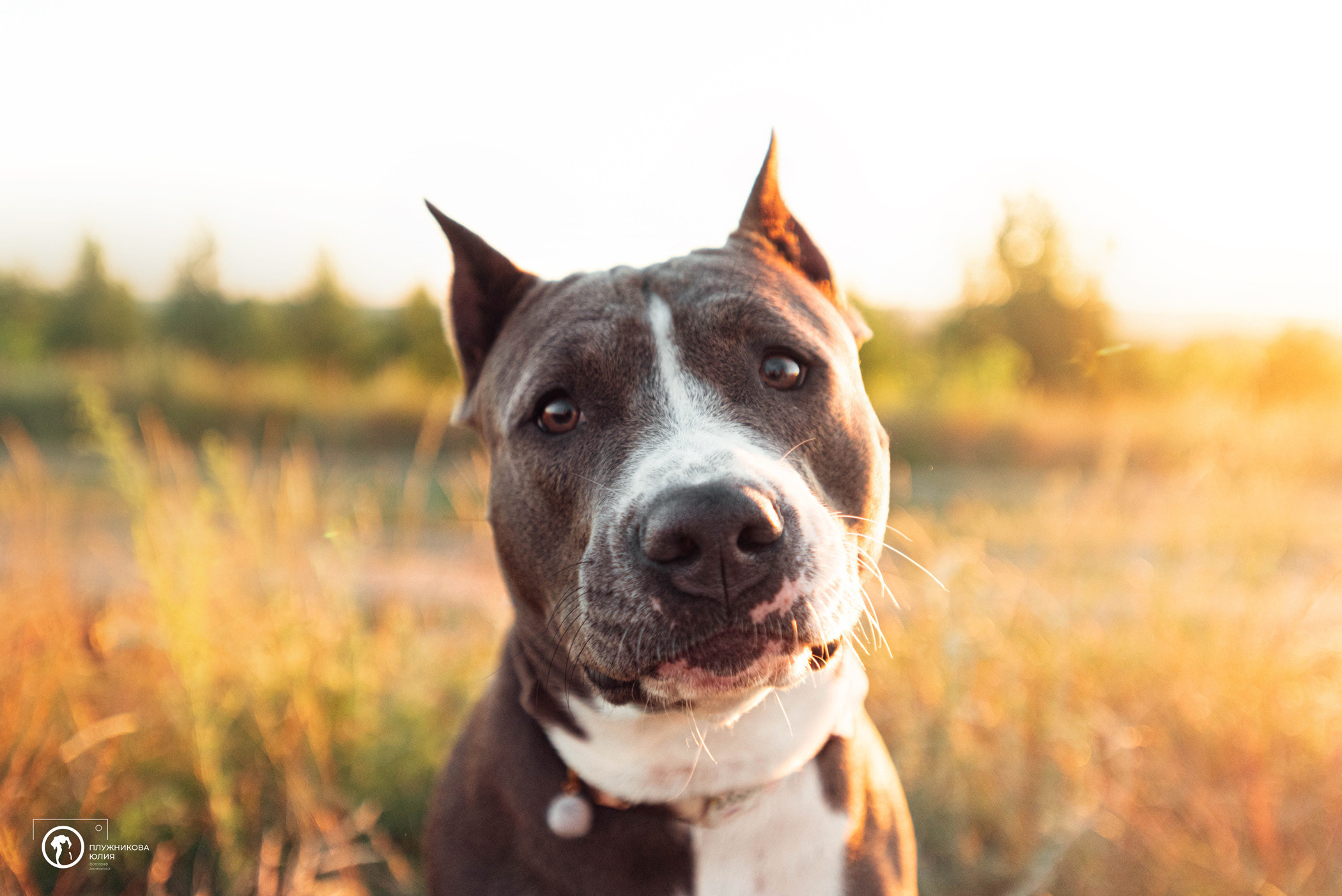 Юлия и Бэтти. Фотограф — анималист Саратов/Москва|Плужникова Юлия