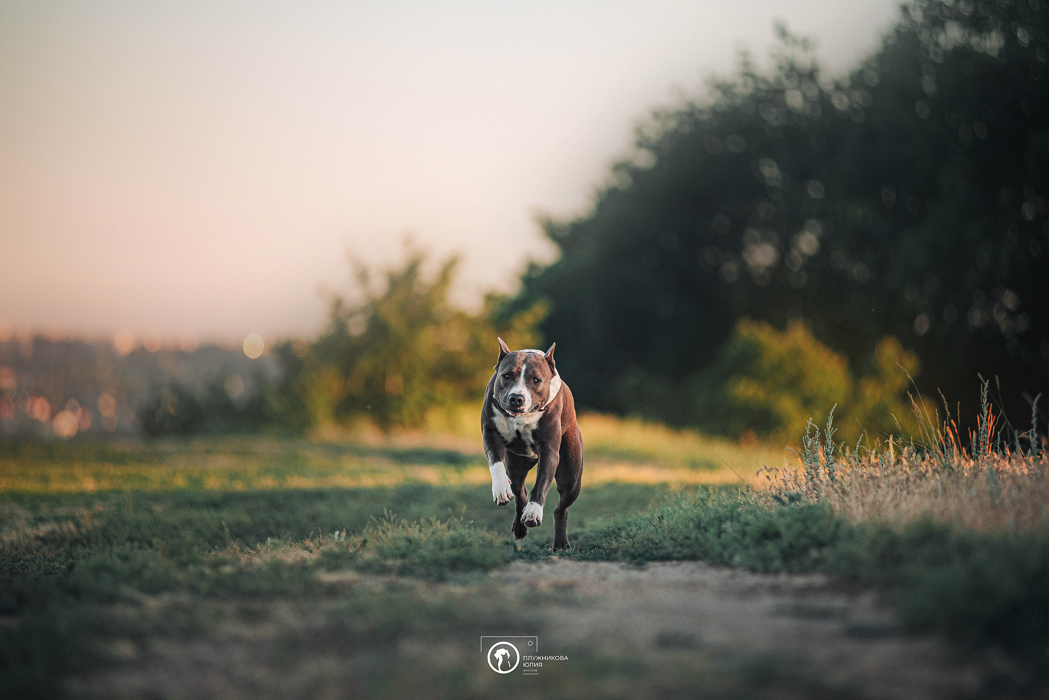 Юлия и Бэтти. Фотограф — анималист Саратов/Москва|Плужникова Юлия