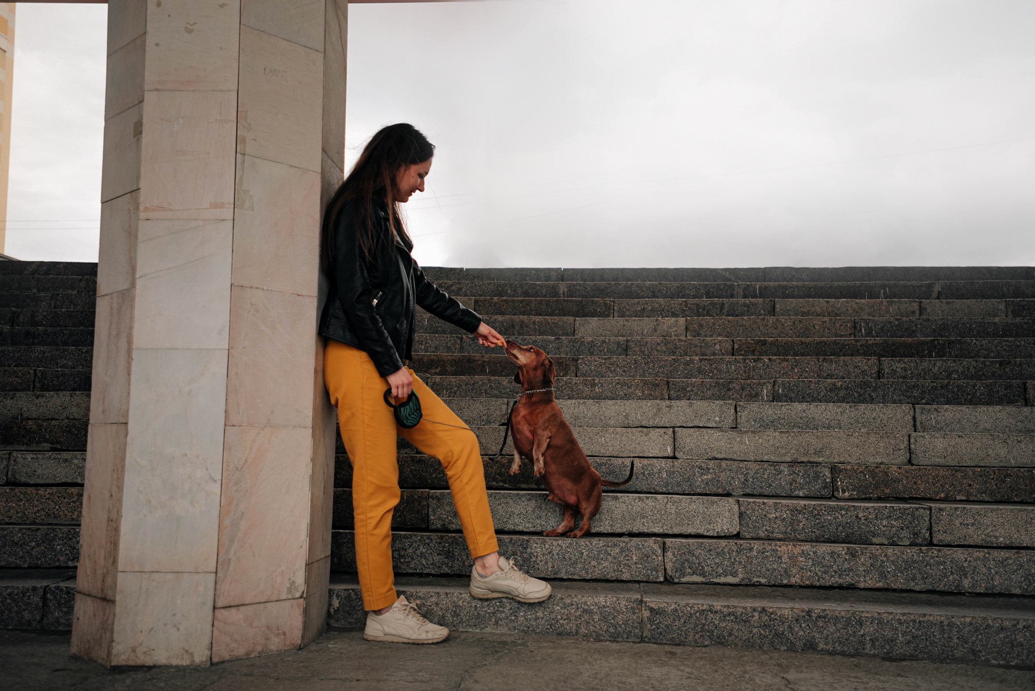 Ира и Рекс. Фотограф — анималист Саратов/Москва|Плужникова Юлия