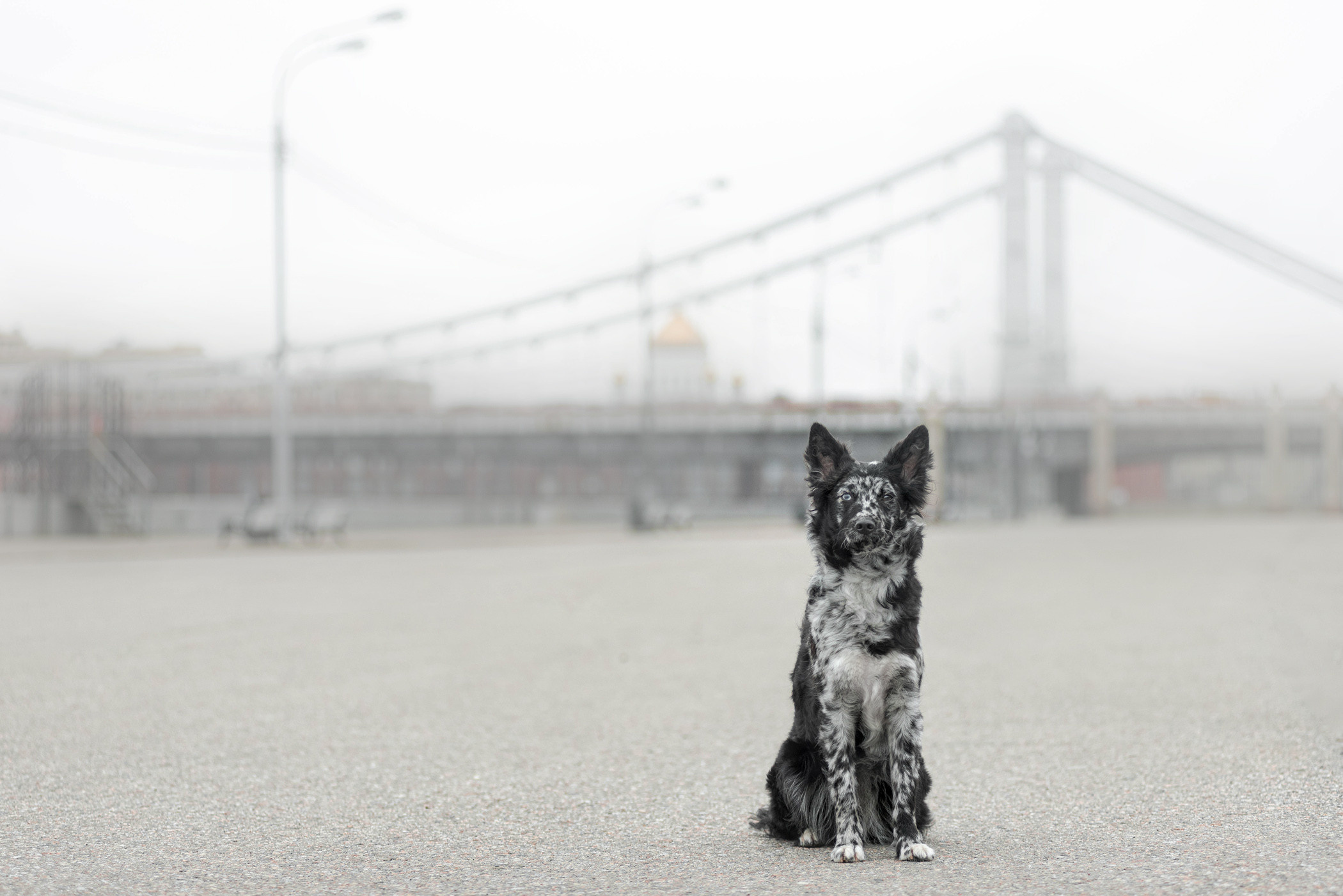Маша и Эни в Музеоне. Фотограф — анималист Саратов/Москва|Плужникова Юлия