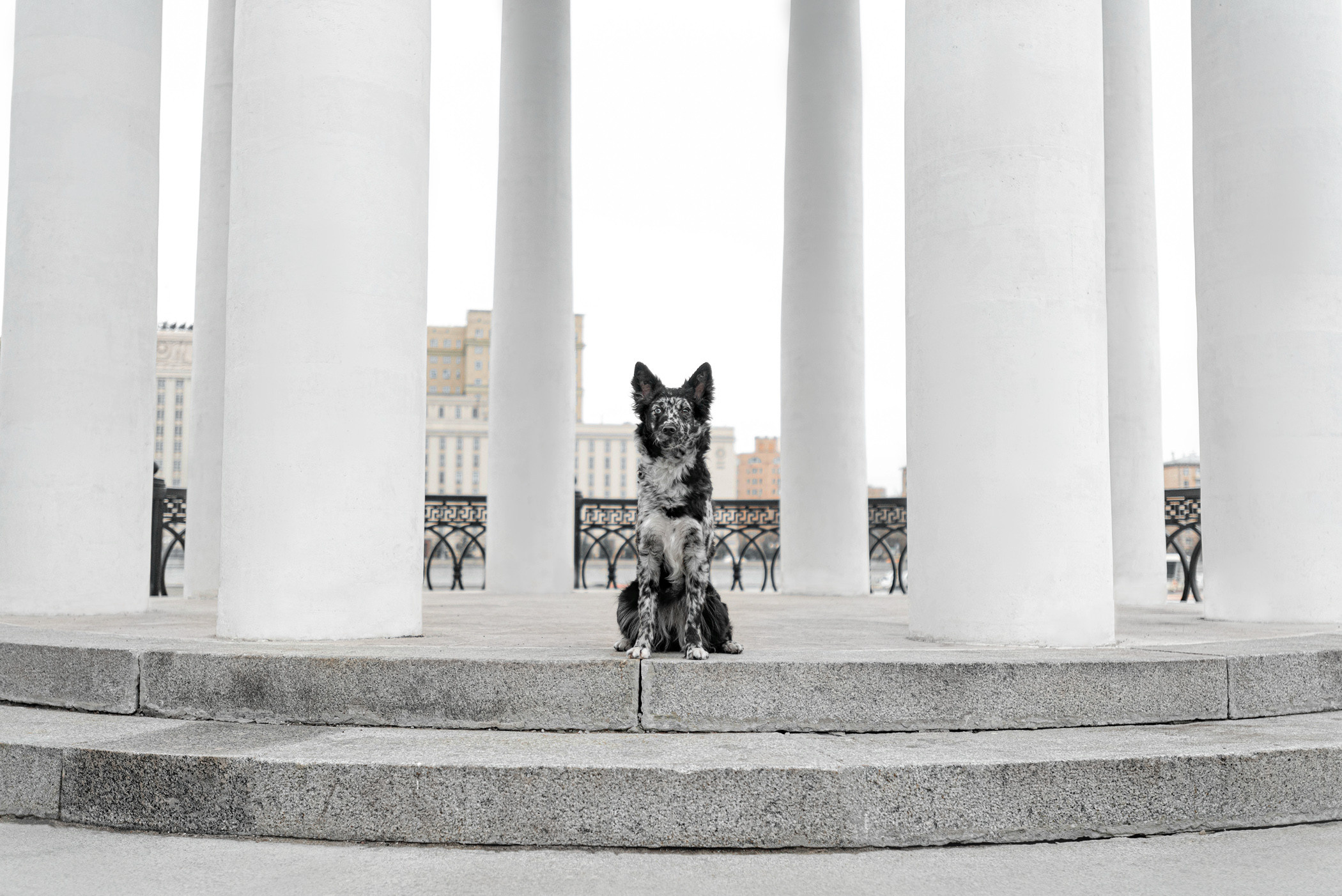 Маша и Эни в Музеоне. Фотограф — анималист Саратов/Москва|Плужникова Юлия