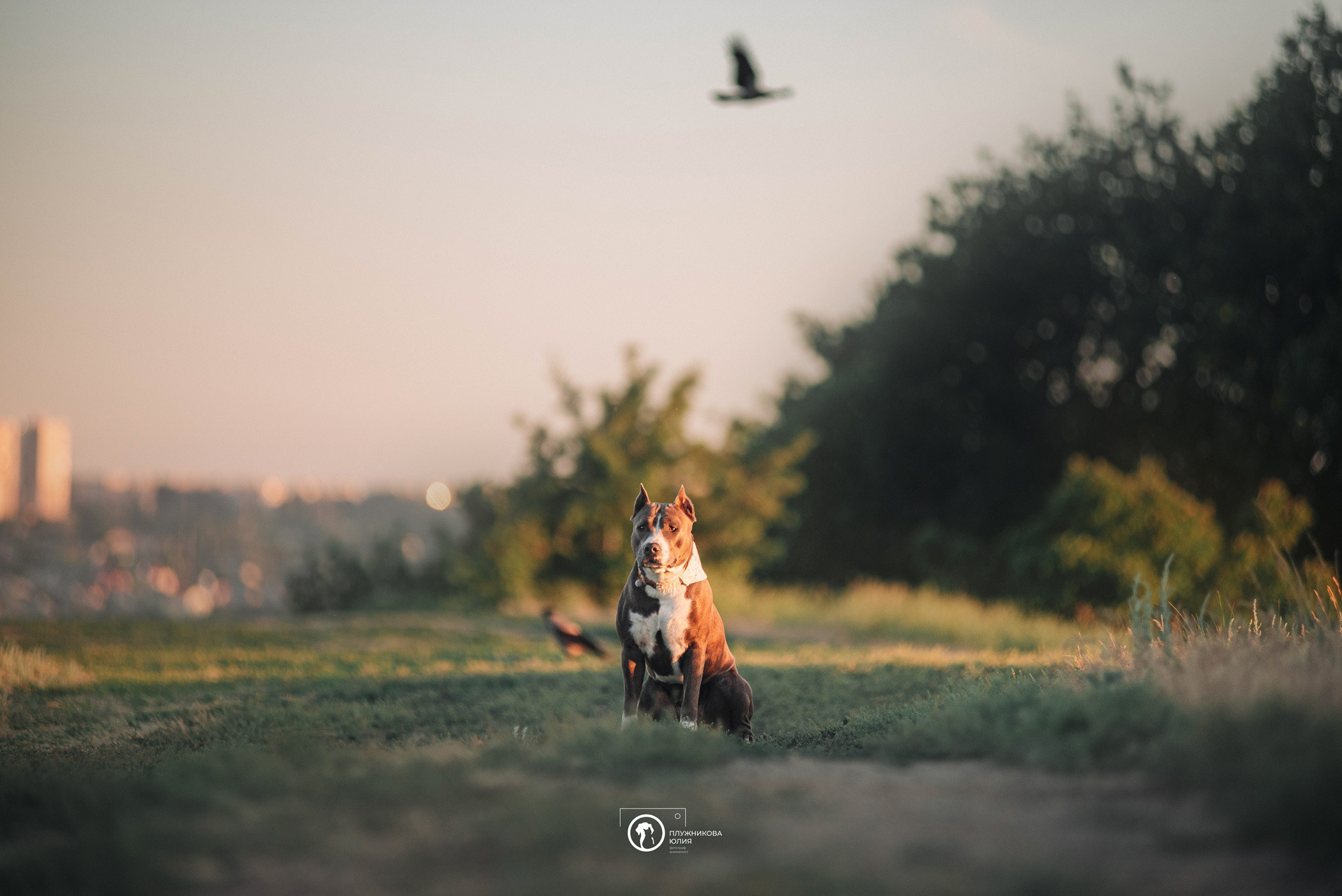 Юлия и Бэтти. Фотограф — анималист Саратов/Москва|Плужникова Юлия